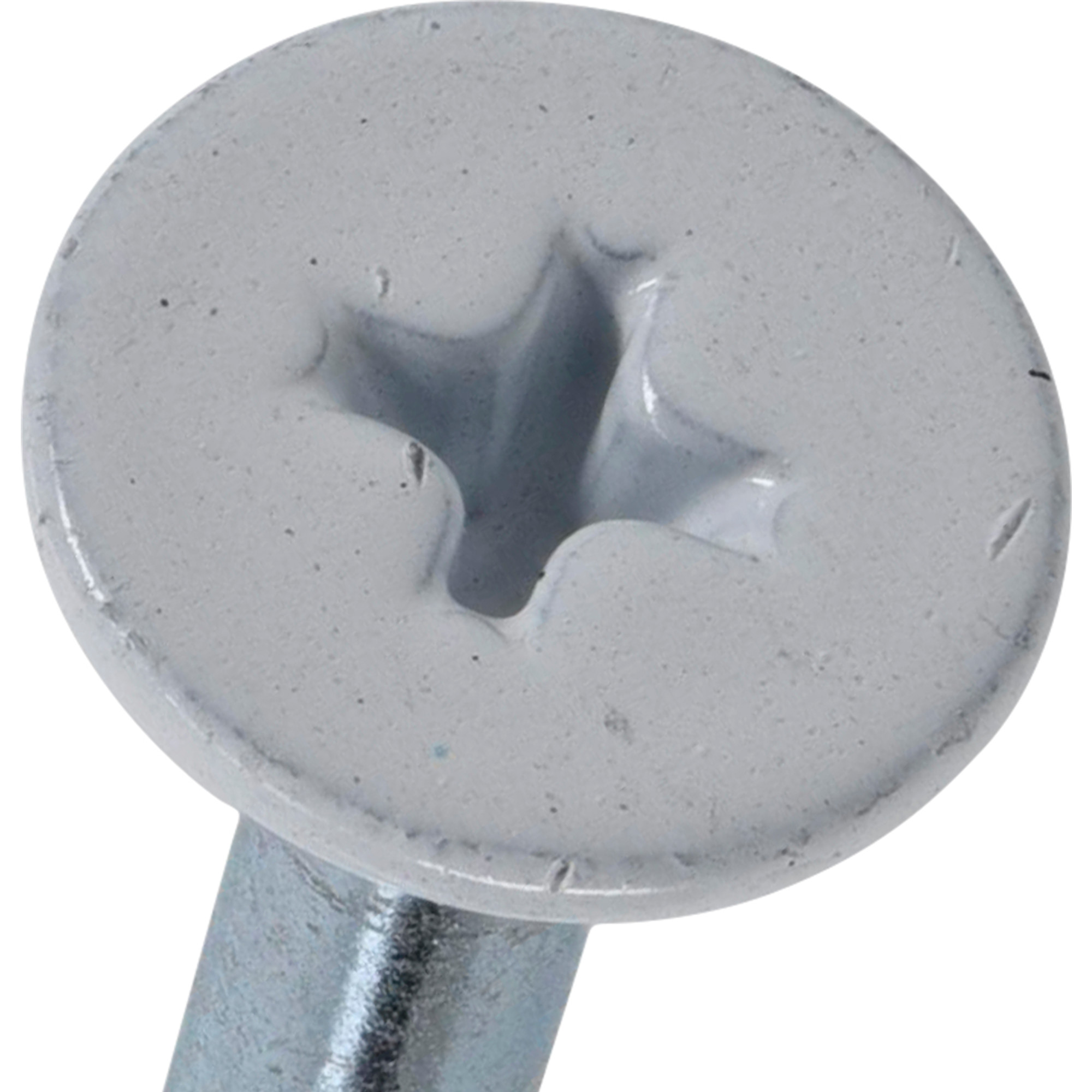 Hillman Borefast White Phillips Wafer-Head Screw Anchor (2-1/2 in.) - 20 pc