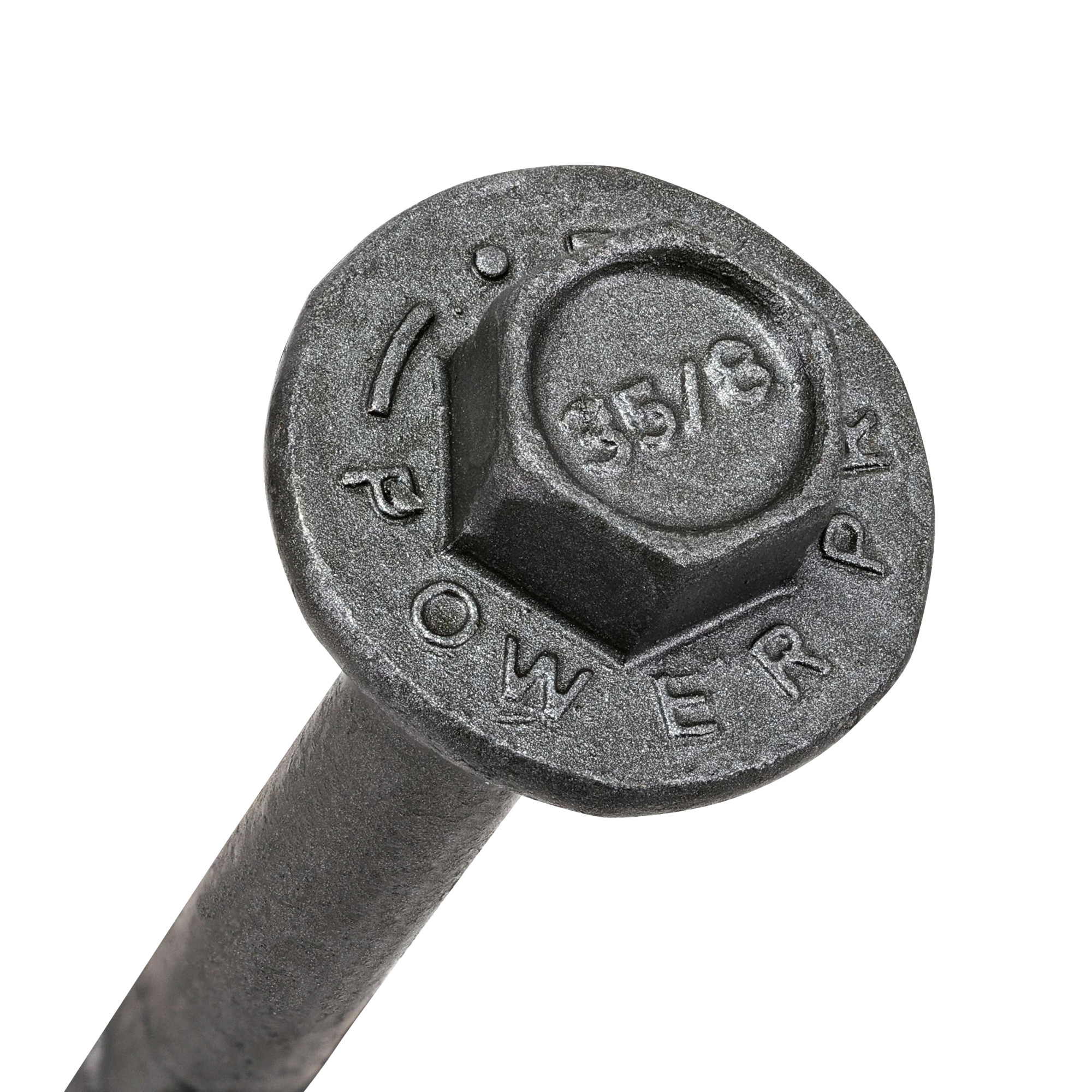 Power Pro Gray Ledger-Tite Structural Screws (5/16 in. x 3-5/8 in.) - 45 pc