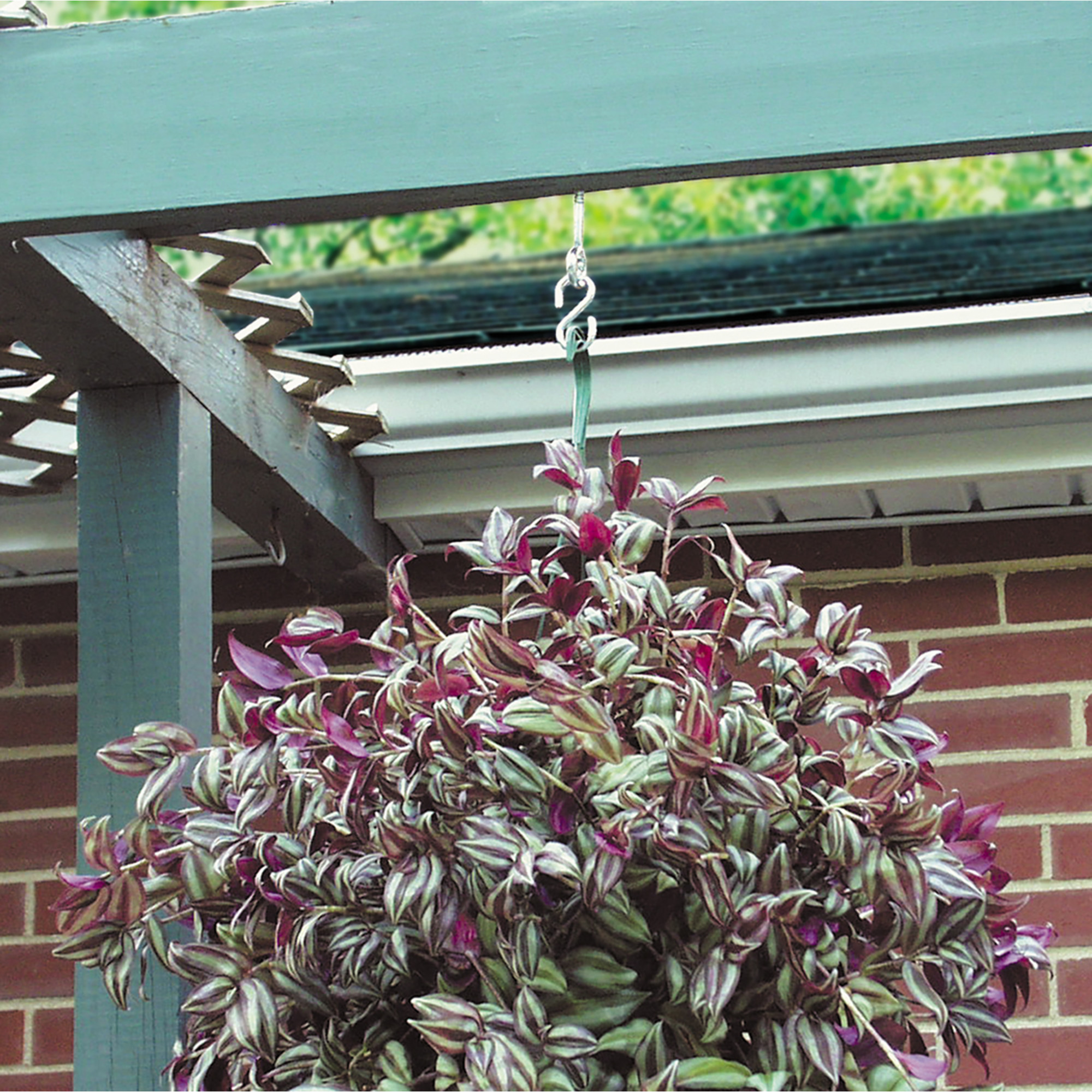 Hillman Stainless Steel Screw Eyes (#8 x 1-5/8 in.) - 10 pc