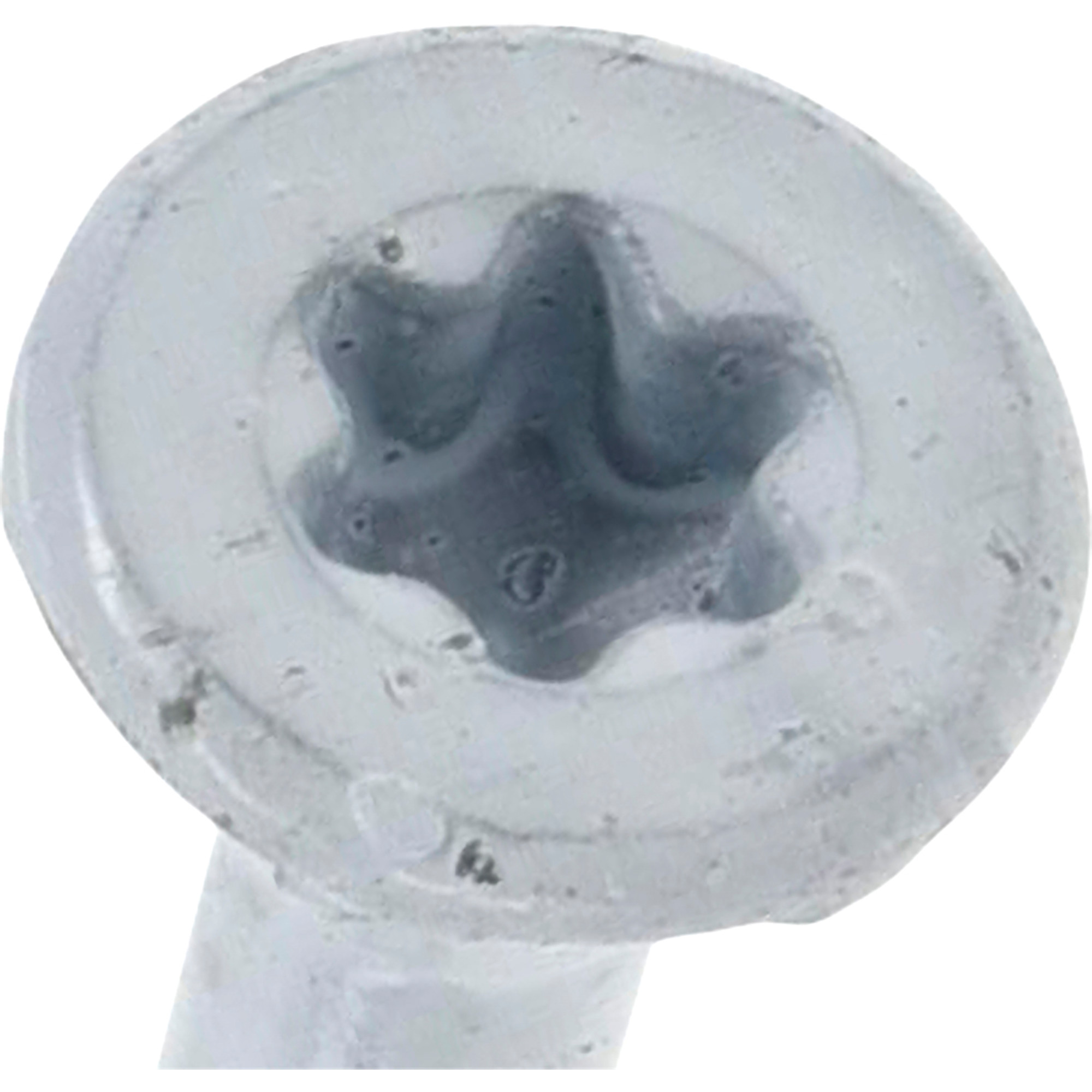 Deck Plus White Deck Screws (#10 x 2-1/2 in.)