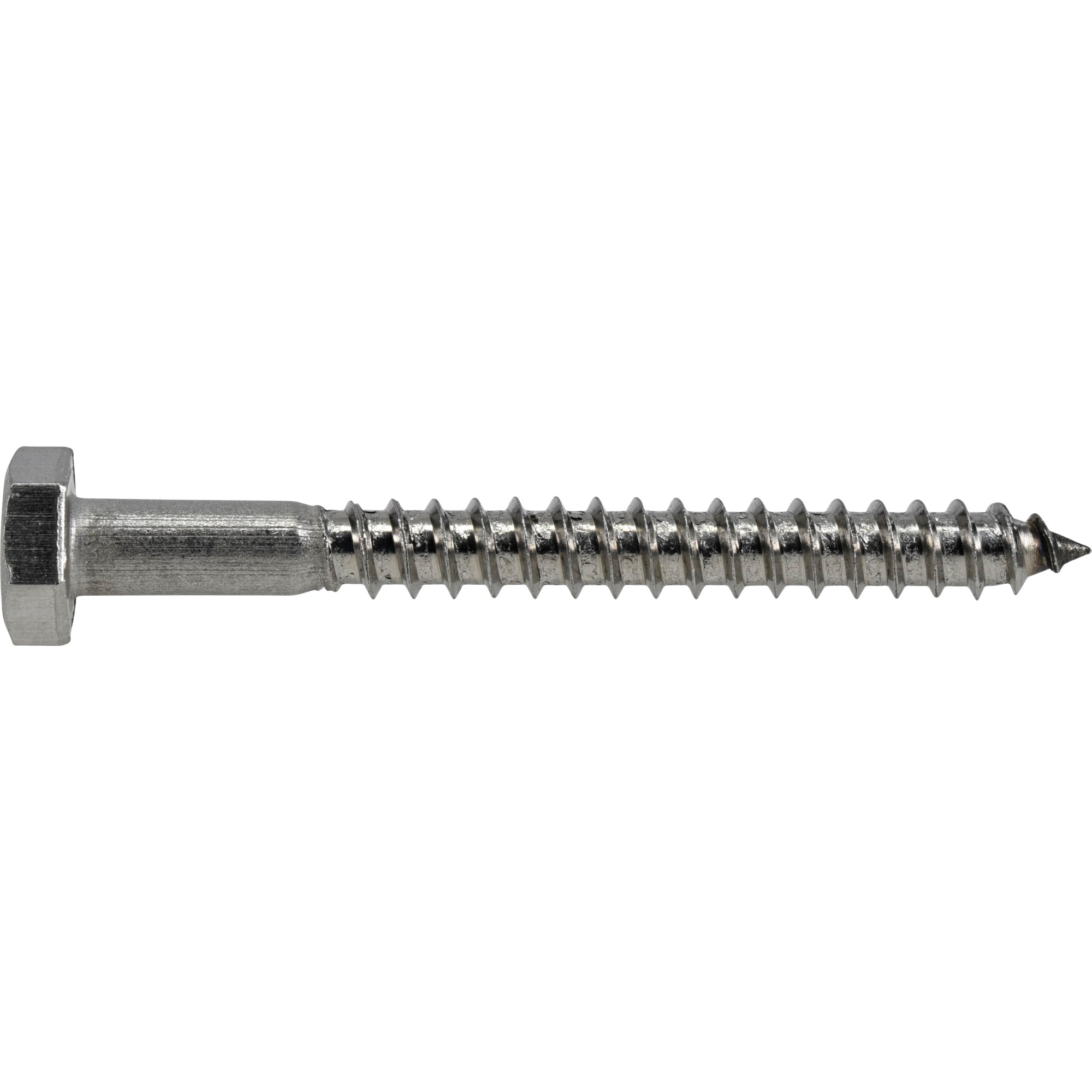 Hillman Stainless Steel Hex Lag Screw 1/4 in. x 2-1/2 in.