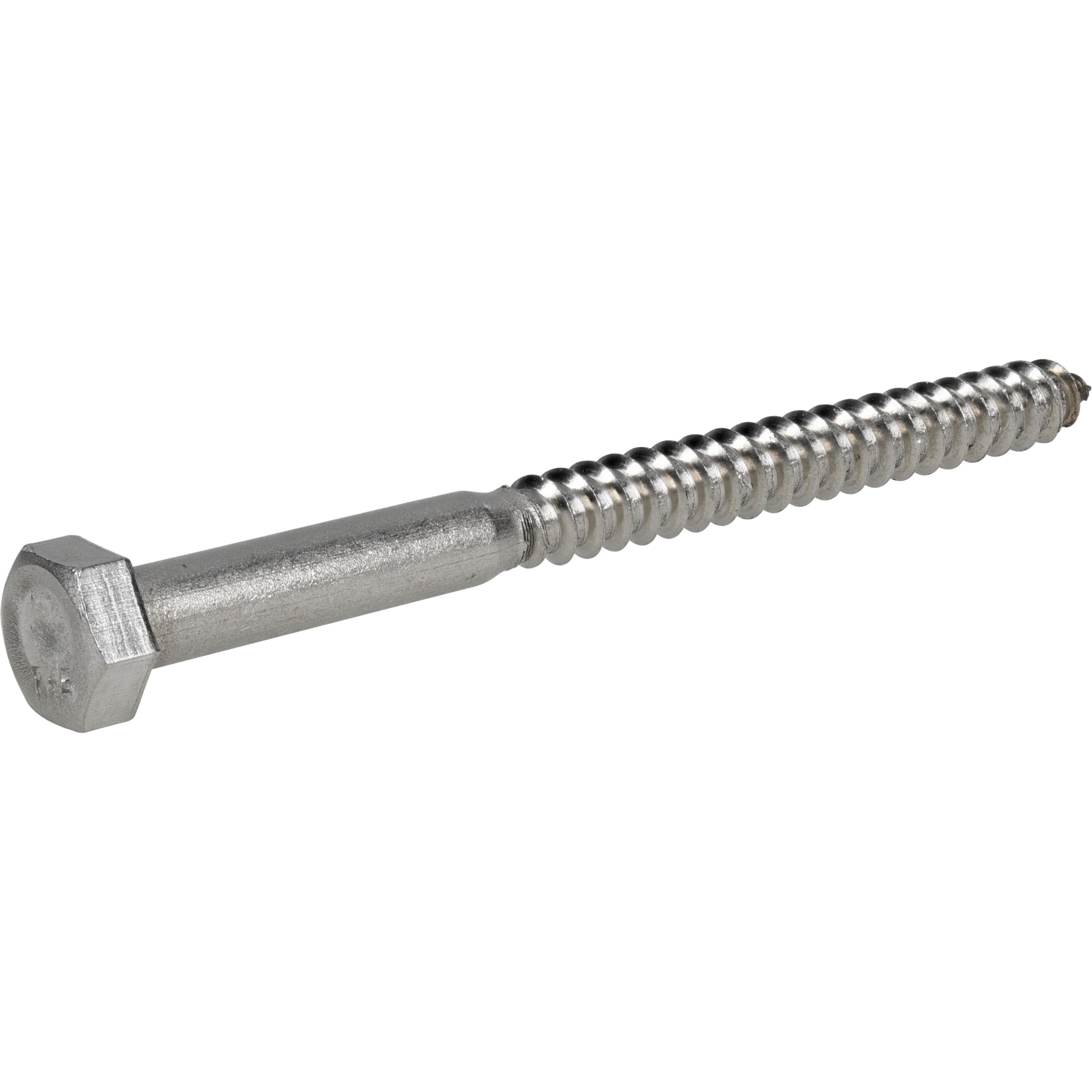 Hillman Stainless Steel Hex Lag Screw 5/16 in. x 4 in.