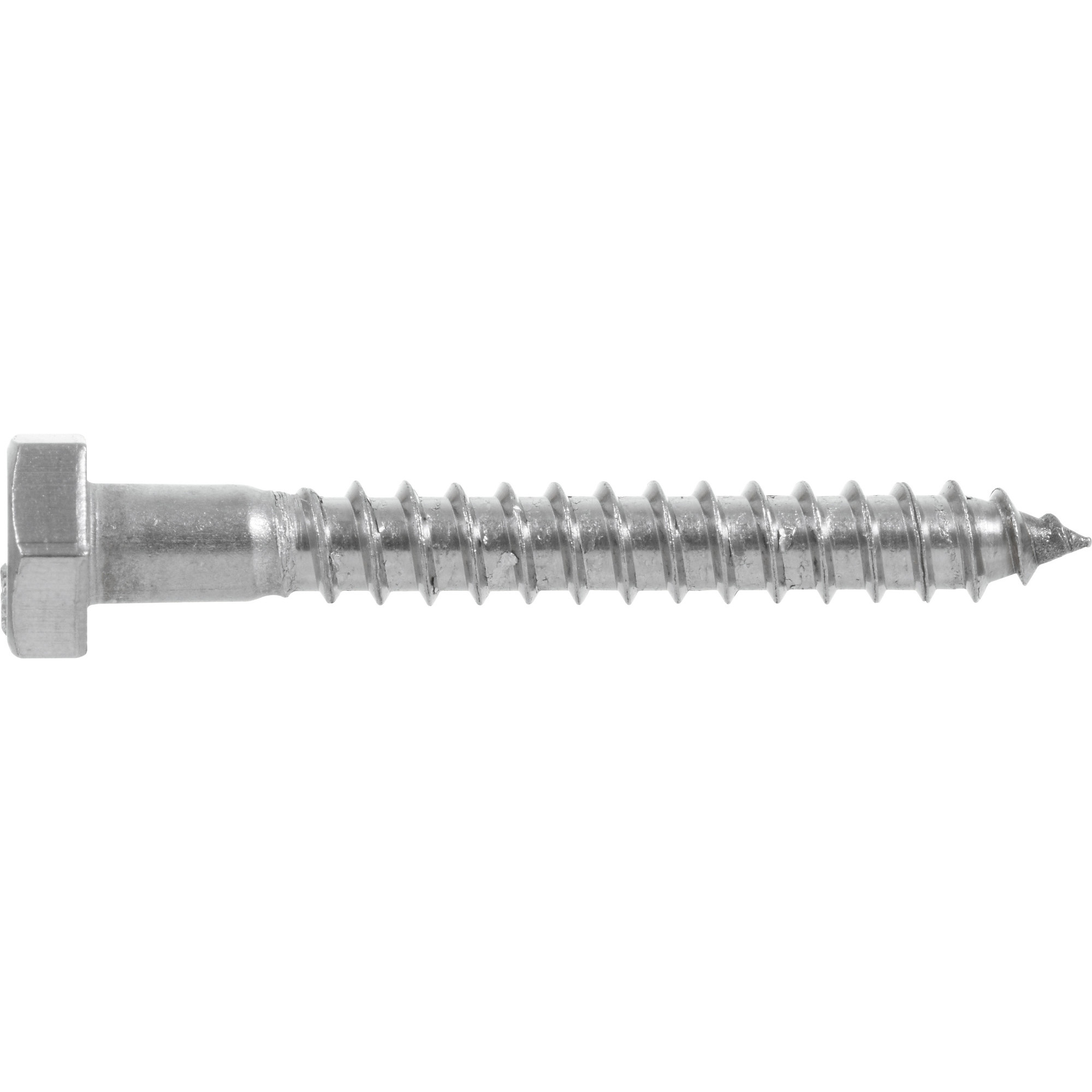 Hillman Stainless Steel Hex Lag Screw 1/4 in. x 6 in.