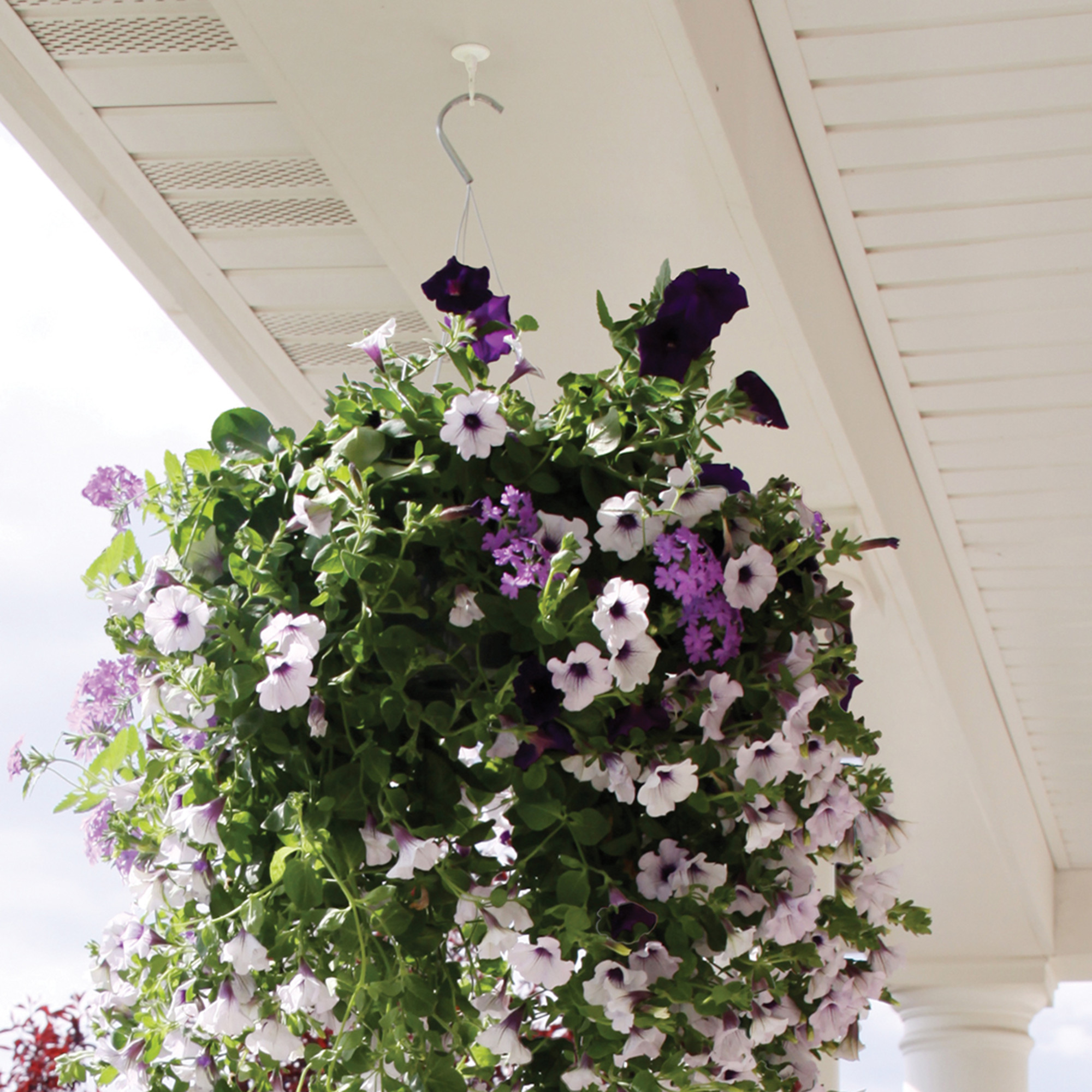 Hillman Swag Hooks Antique Brass 30lb 2 Pack