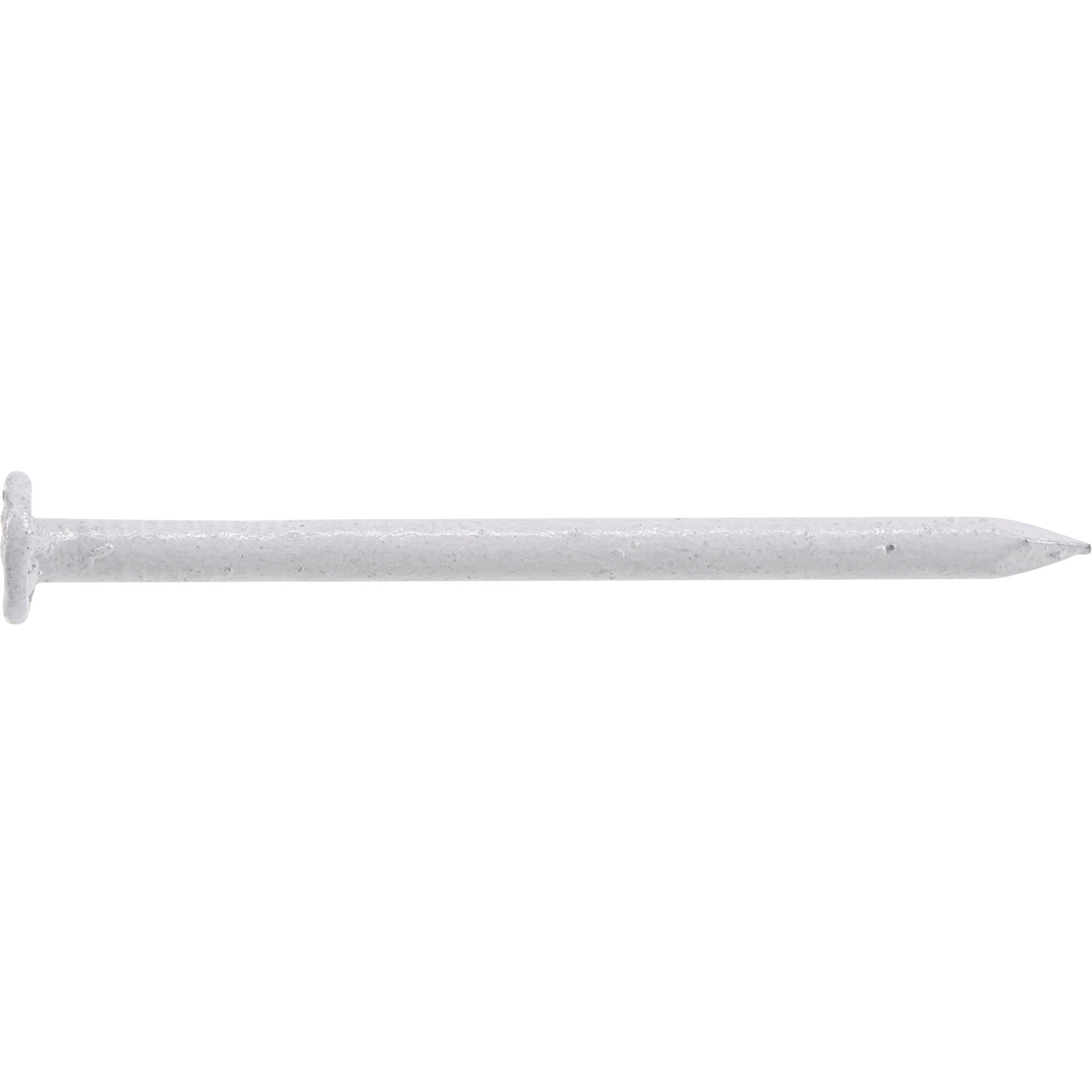 Anchor Wire White Colored Stainless Steel Trim Nails (1-1/4 in.) - 6 oz.