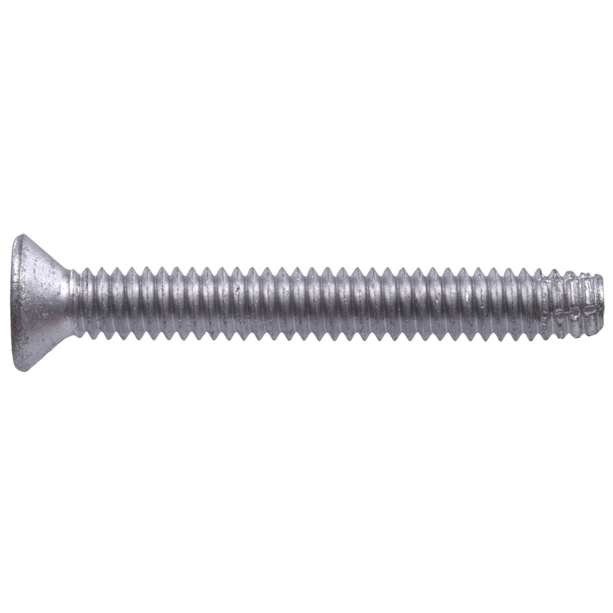 Hillman Star-Drive Floorboard Screws (1/4 in.-20 x 2-1/2 in.) - 5lb Box