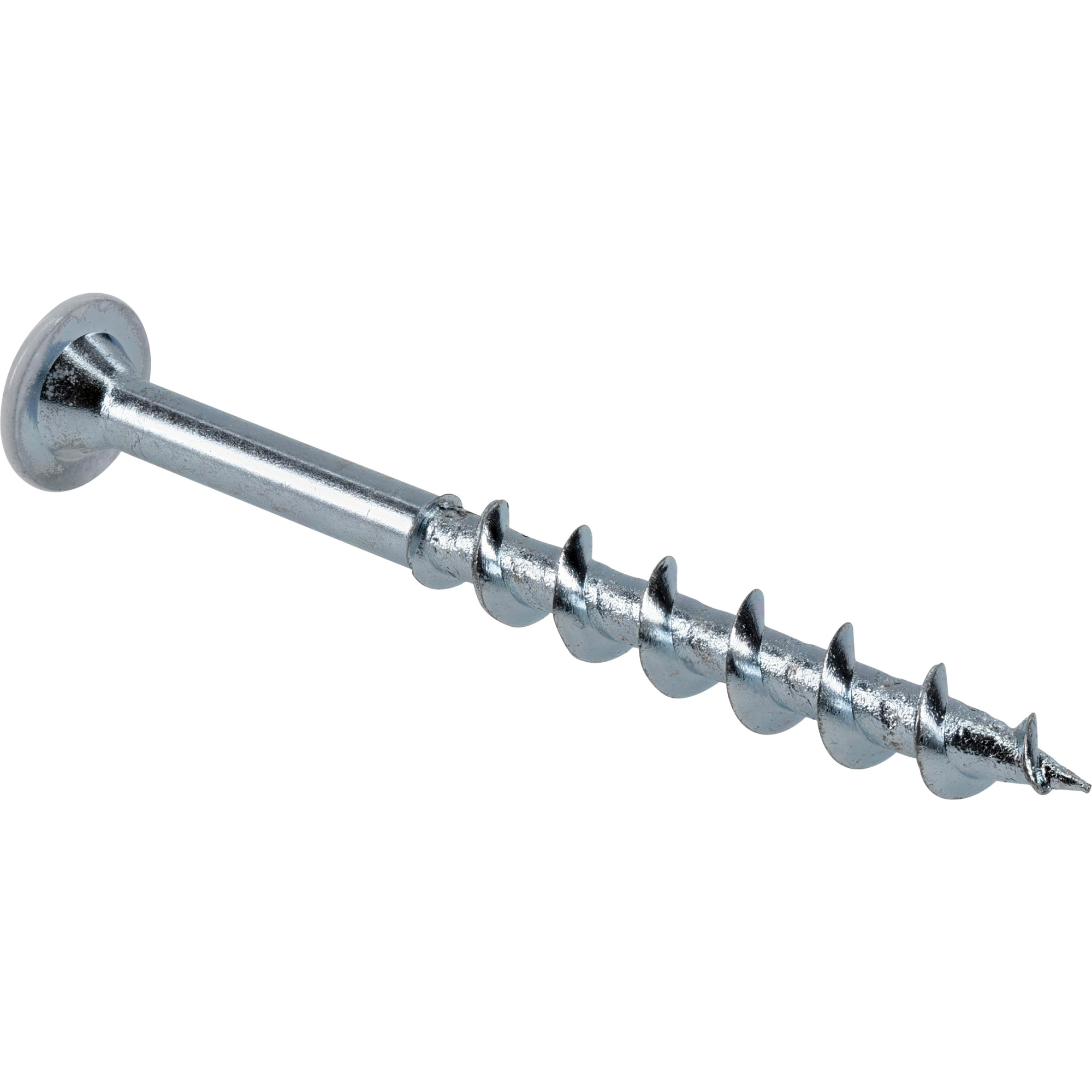 Hillman Borefast White Phillips Wafer-Head Screw Anchor (2-1/2 in.) - 20 pc