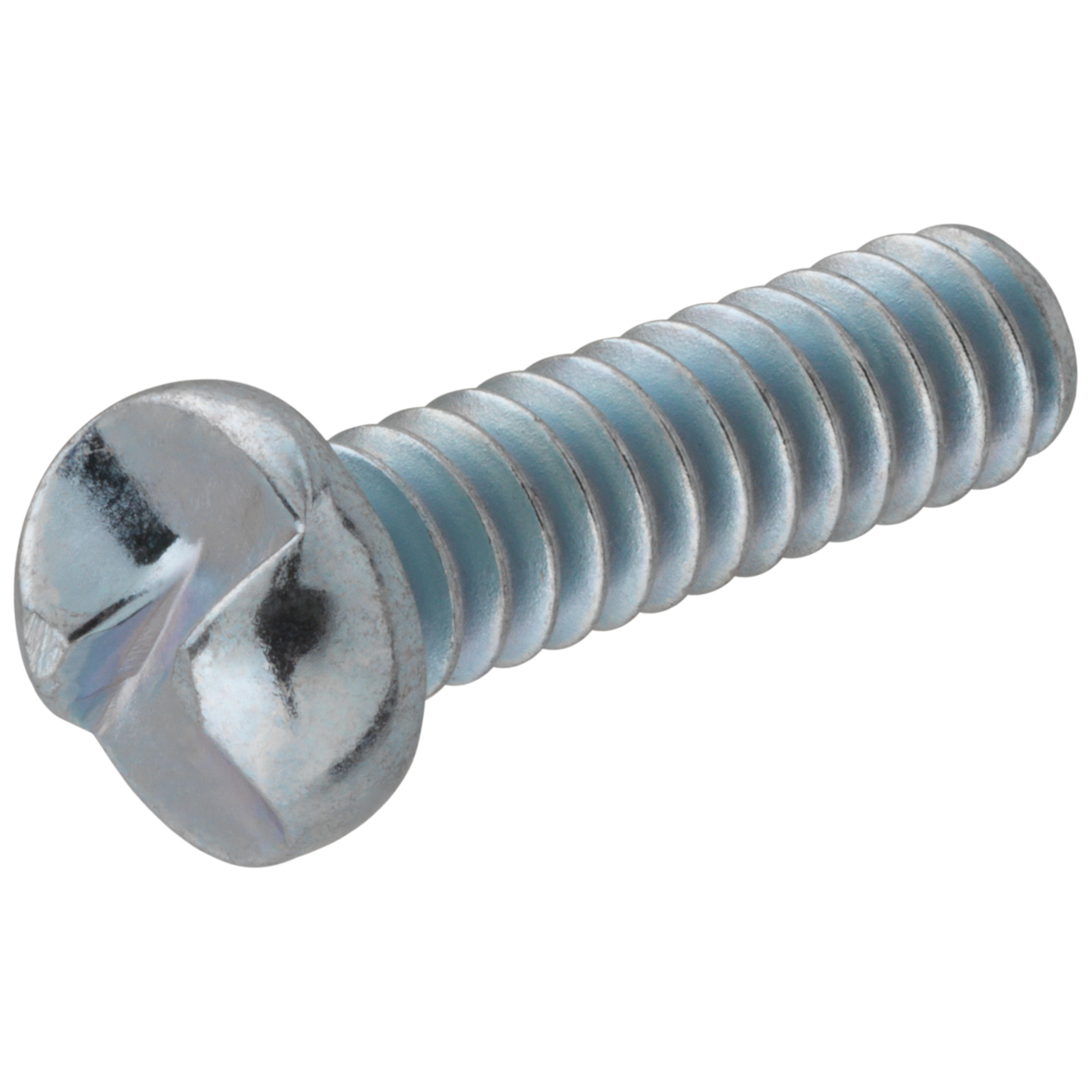 Hillman One Way Round-Head Security Screws (1/4 in.-20 x 1 in.)