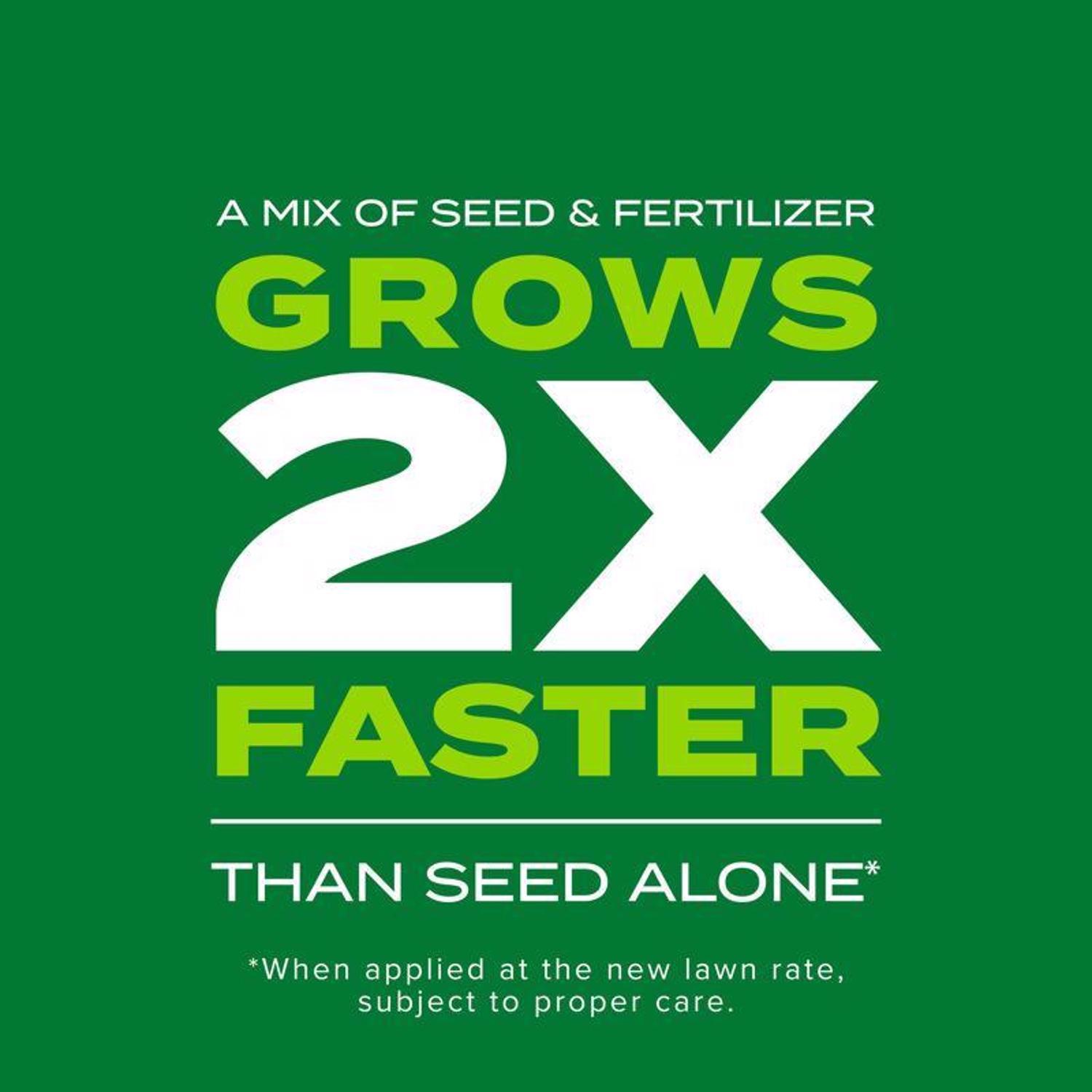 Scotts Turf Builder Rapid Grass Bermuda Grass Full Sun Grass Seed and Fertilizer 4 lb