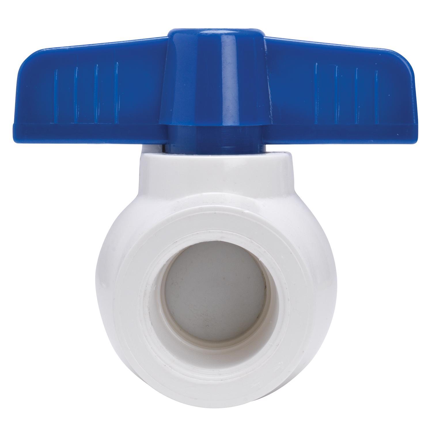 Homewerks 2 in. PVC FIP Ball Valve Full Port Quarter-Turn Lever For Non-Potable Water