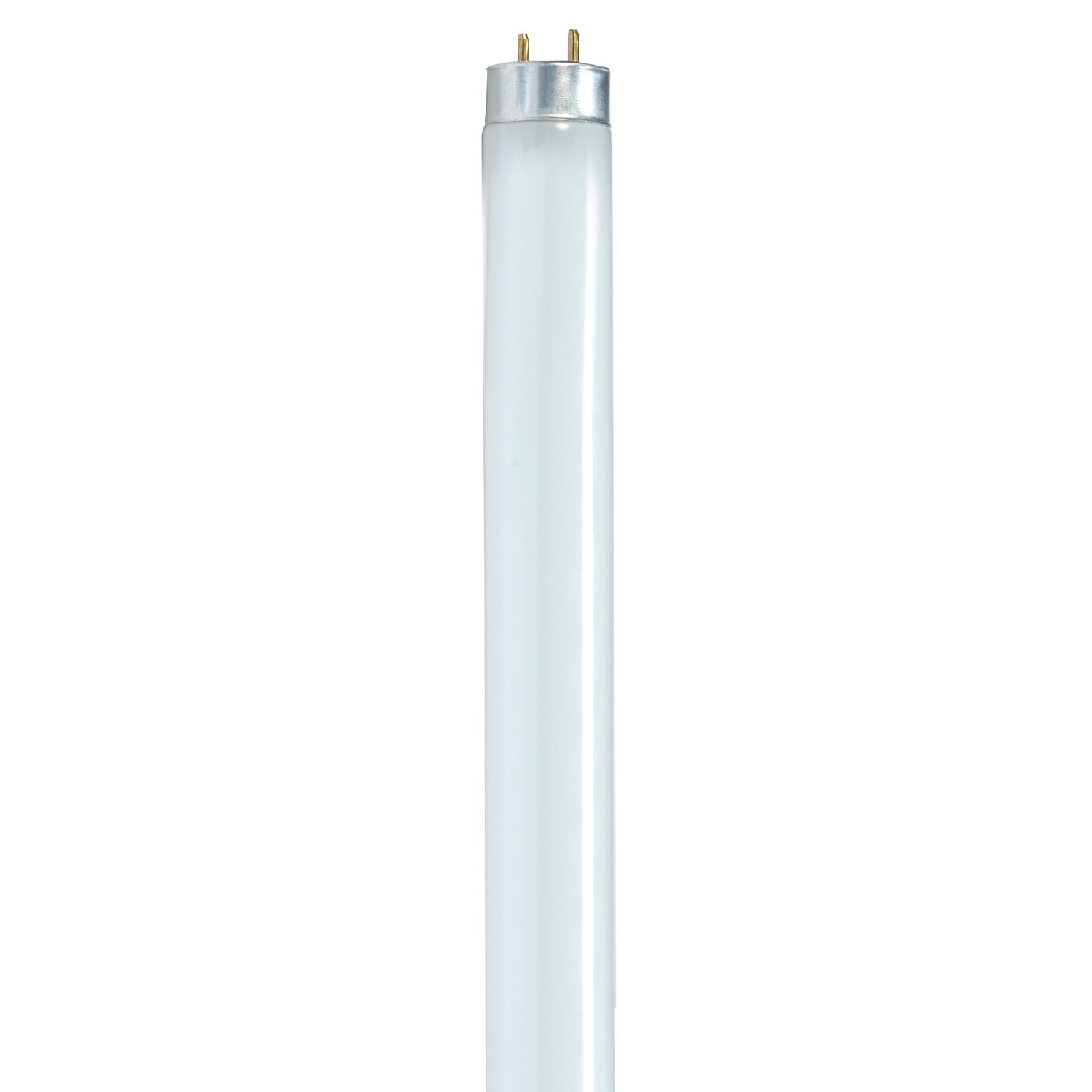 Satco 32 W T8 1 in. D X 48 in. L Fluorescent Bulb Cool White Linear 4100 K 1 pk