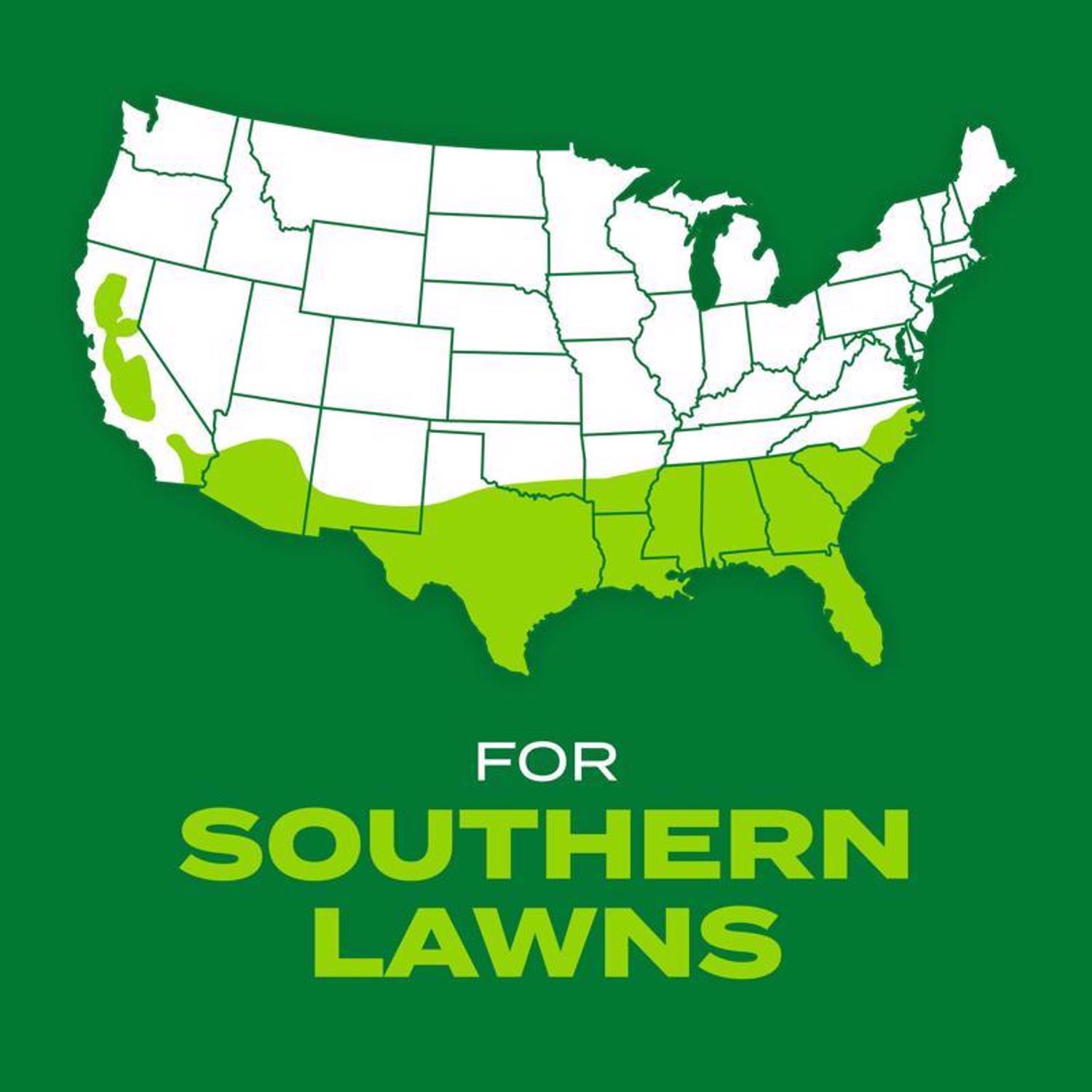 Scotts Turf Builder Rapid Grass Bermuda Grass Full Sun Grass Seed and Fertilizer 4 lb