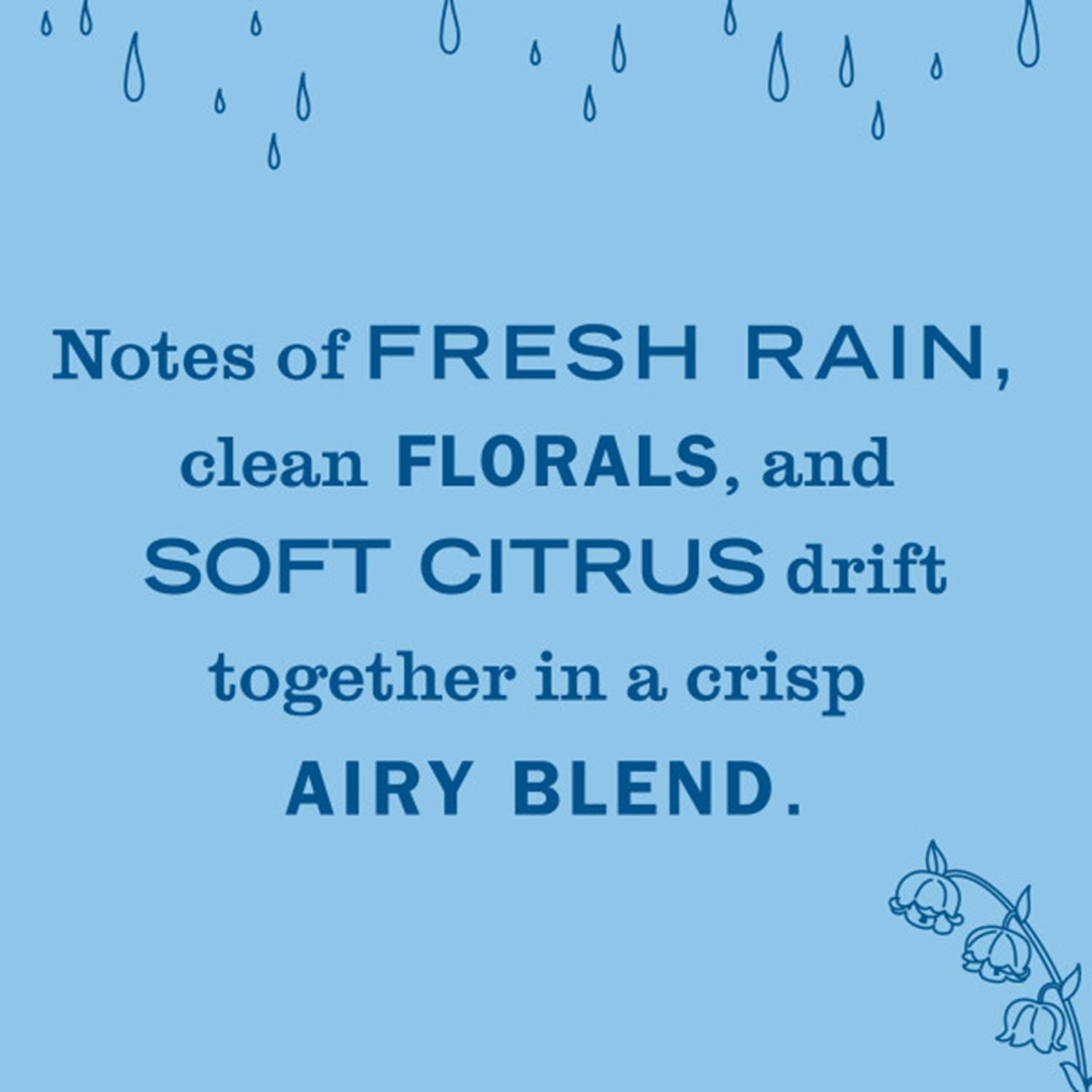 Mrs. Meyer's Clean Day Rain Water Scent Air Freshener Starter Kit 0.67 oz Liquid 1 pk