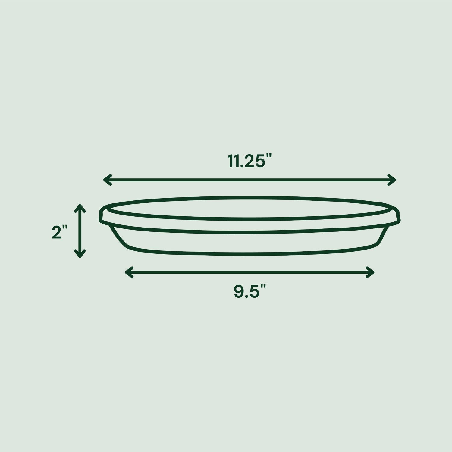 Bloem Terra 2 in. H X 9.5 in. W X 11.25 in. D Resin Traditional Plant Saucer Terra Cotta