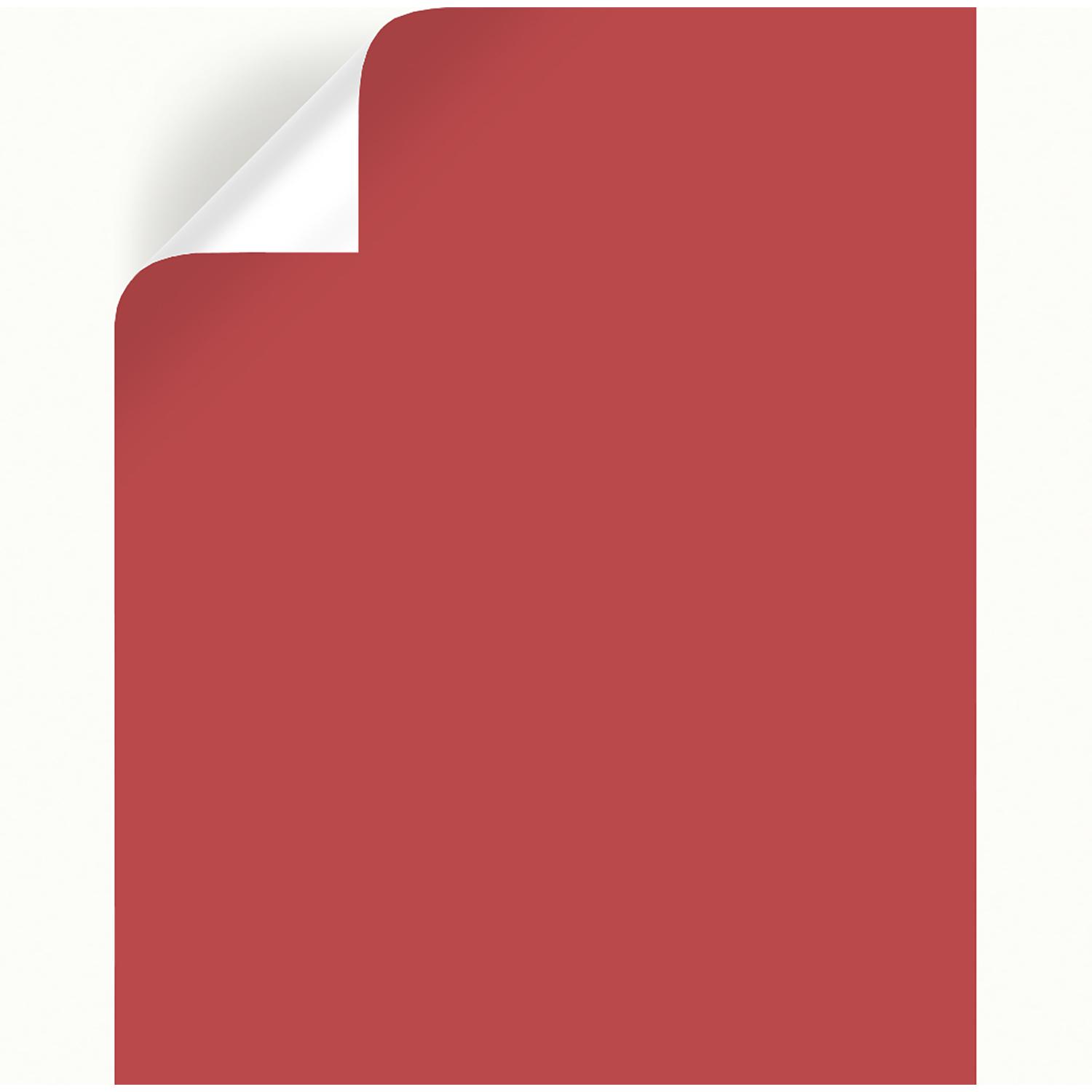 Magnolia Home by Joanna Gaines Vine Ripened Tomato Peel & Stick Color Sample