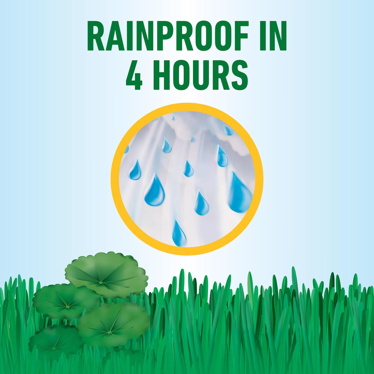 Roundup Weed Killer RTU Liquid 1 gal