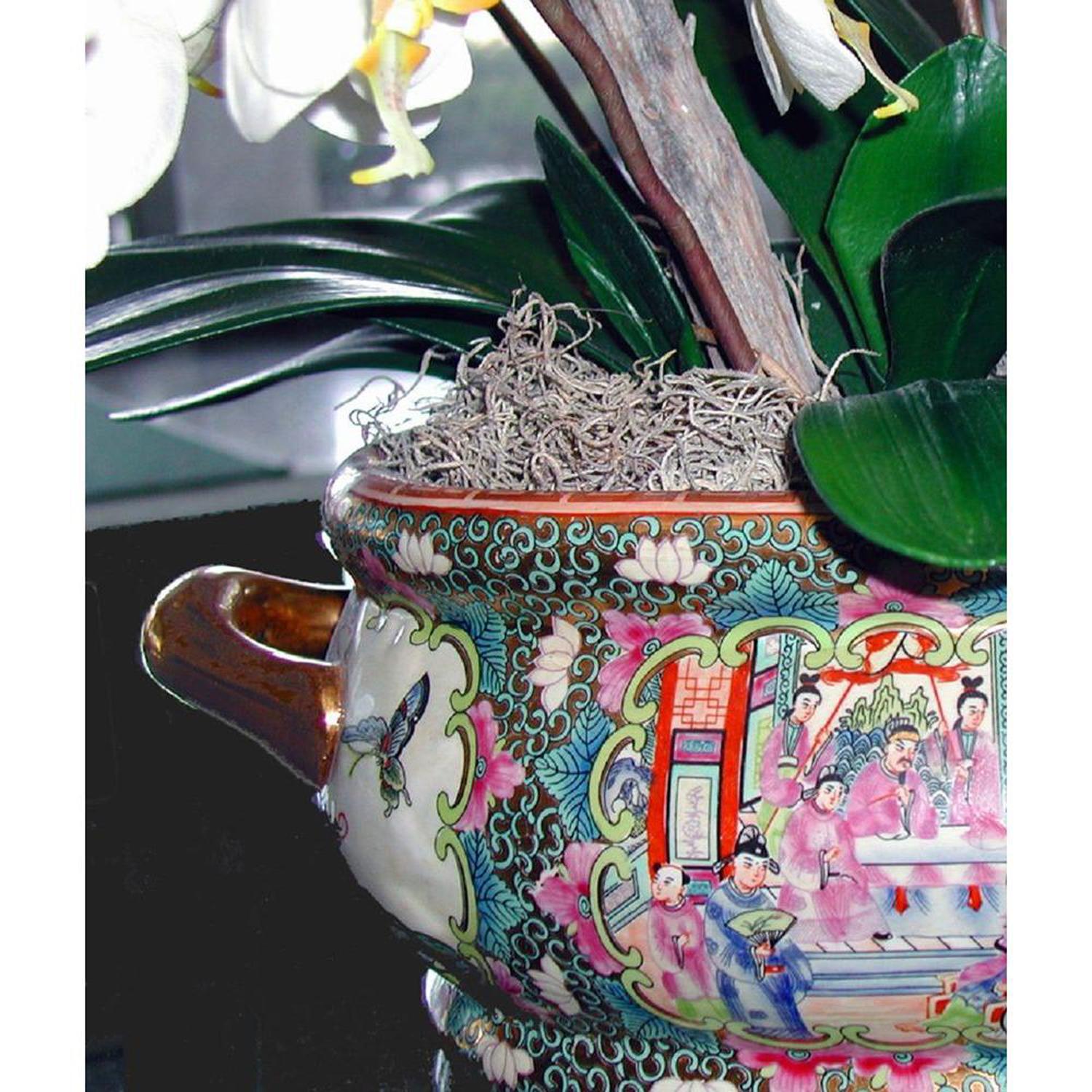 Mosser Lee Organic Natural Spanish Moss 250 cu in