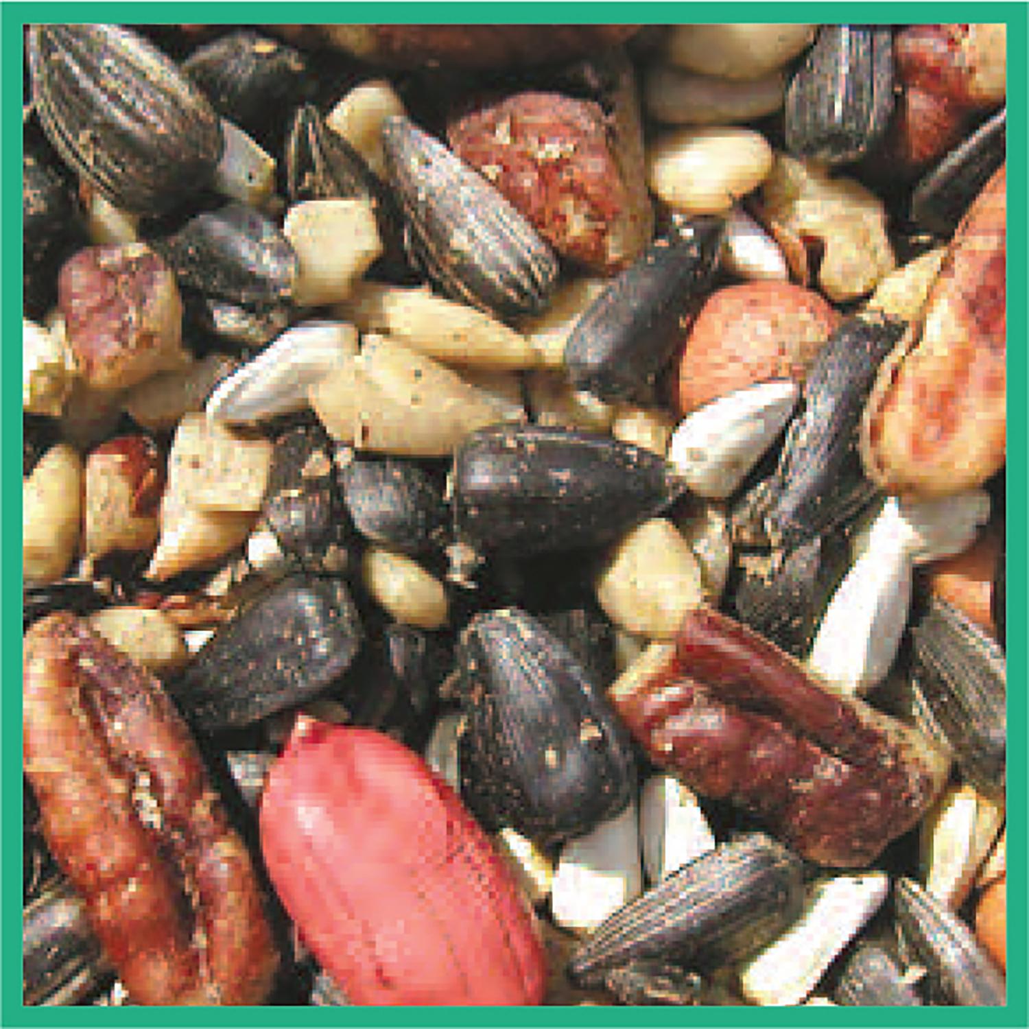 Cole's Special Feeder Wild Bird Food 5 lb