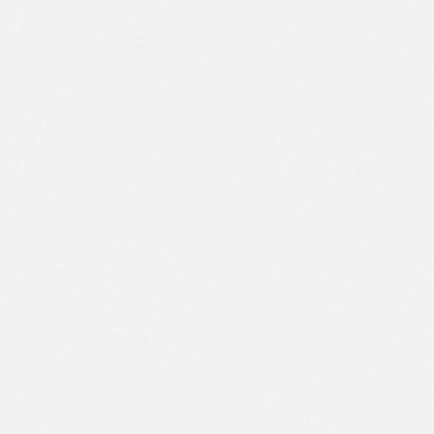 Rust-Oleum Painter's Touch 2X Ultra Cover Satin Blossom White Paint+Primer Spray Paint 12 oz