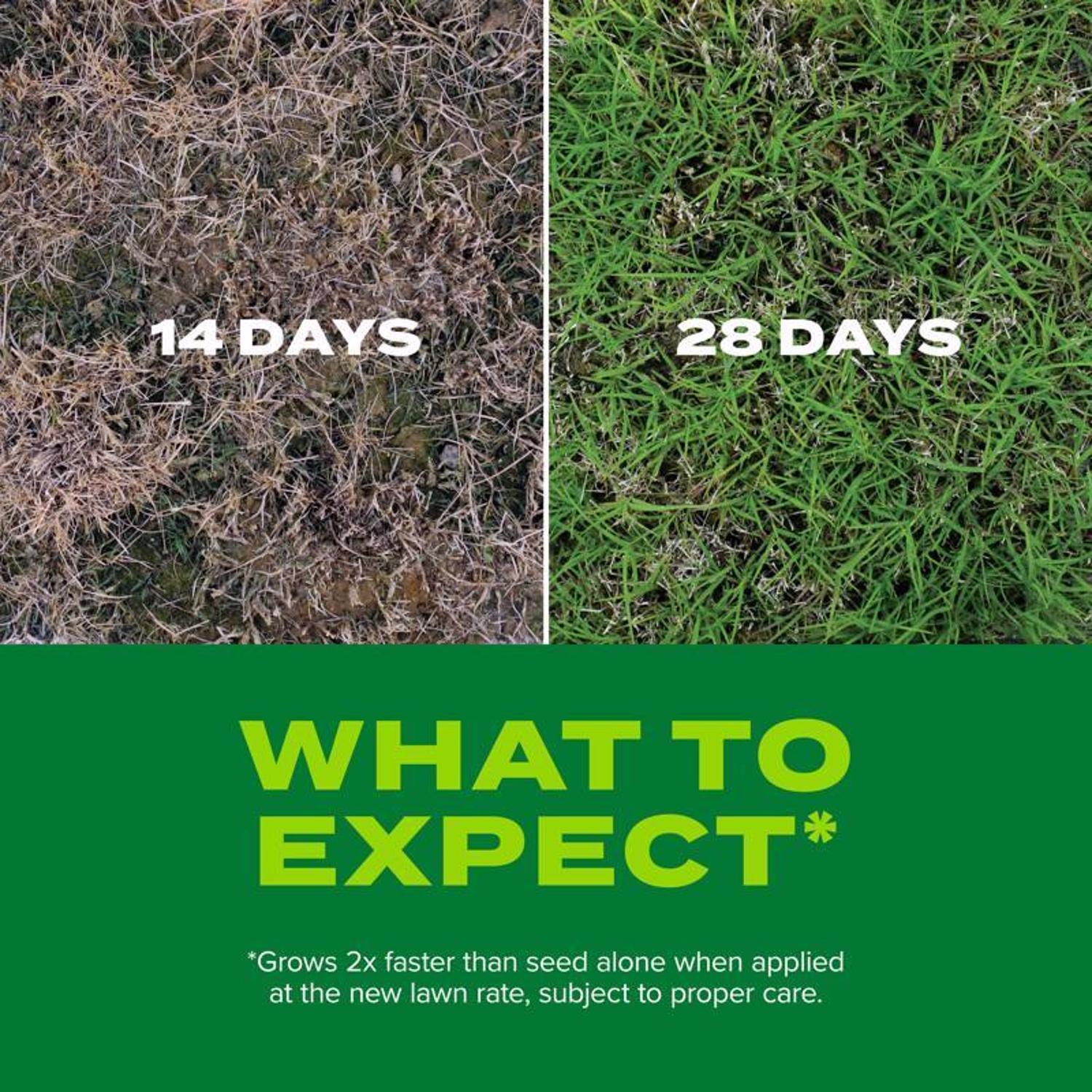 Scotts Turf Builder Rapid Grass Bermuda Grass Full Sun Grass Seed and Fertilizer 4 lb