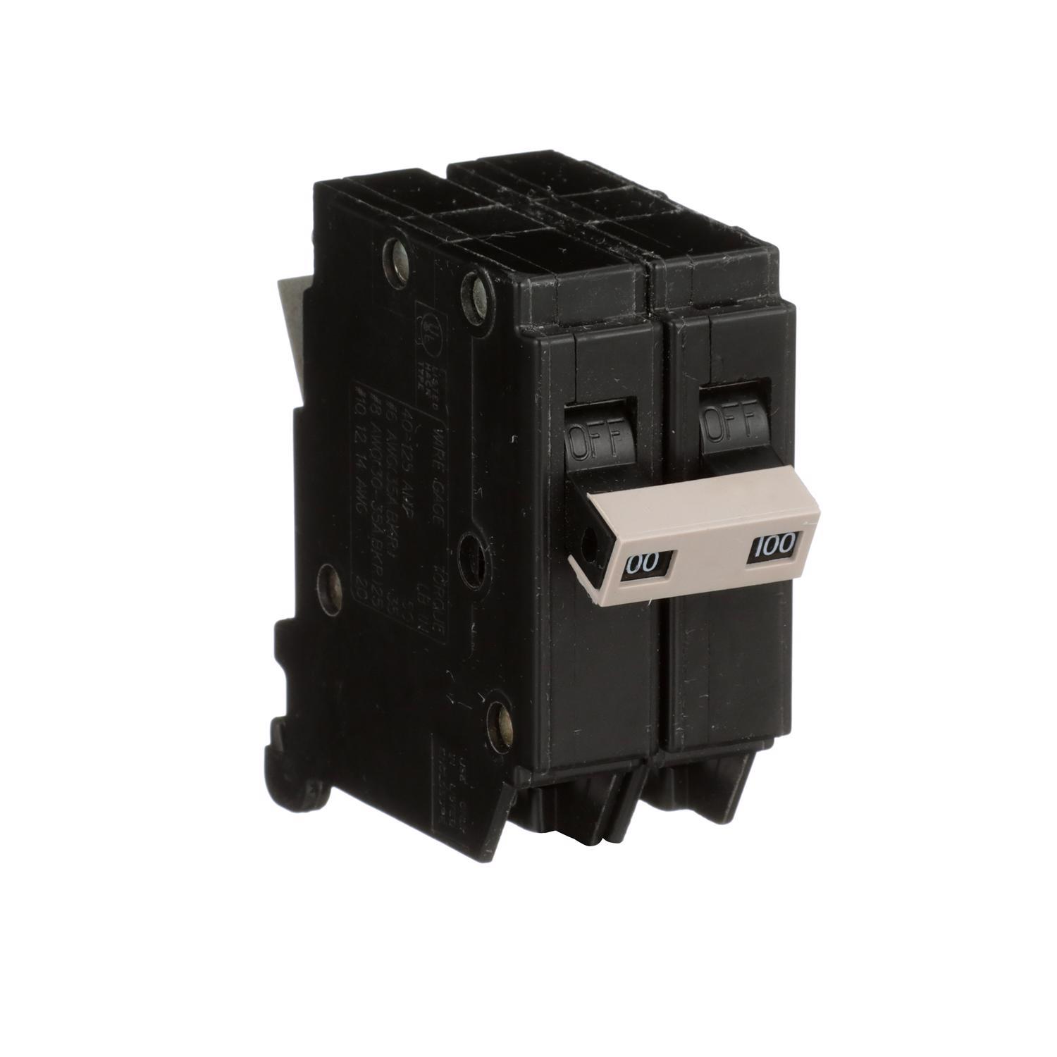 Eaton 100 amps Plug In 2-Pole Circuit Breaker