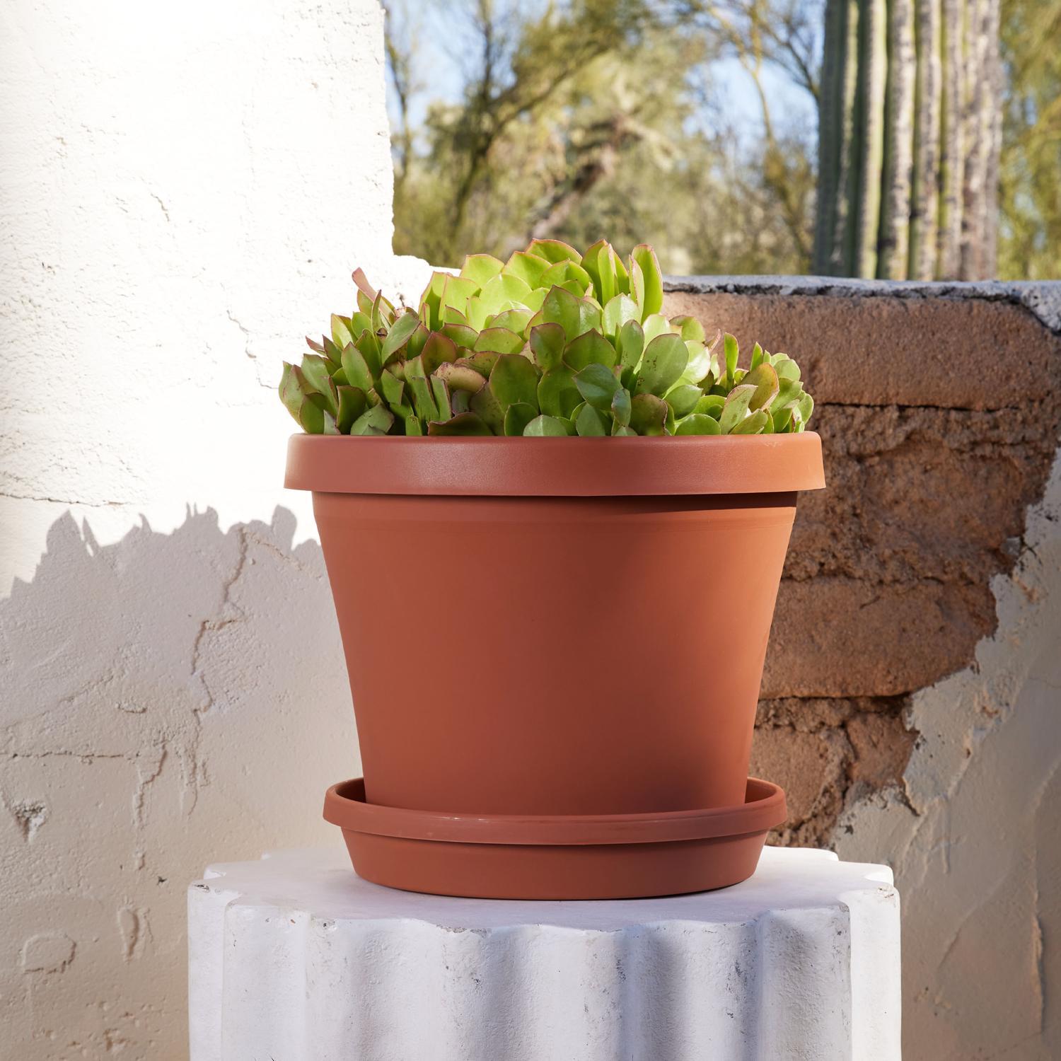 Bloem Terra 10.75 in. H X 13 in. W Resin Traditional Planter Terracotta Clay