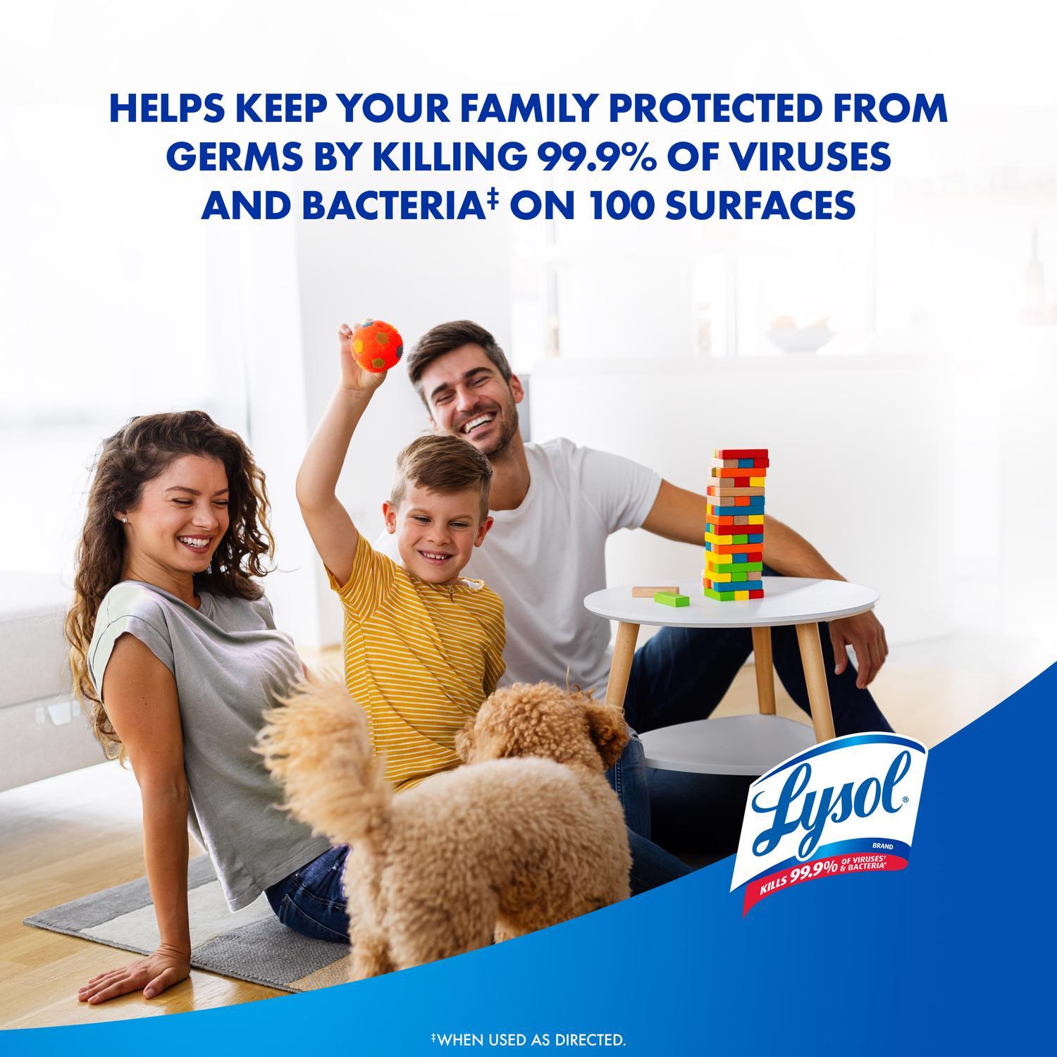 Lysol Early Morning Breeze Scent Disinfectant Spray 12.5 oz 1 pk