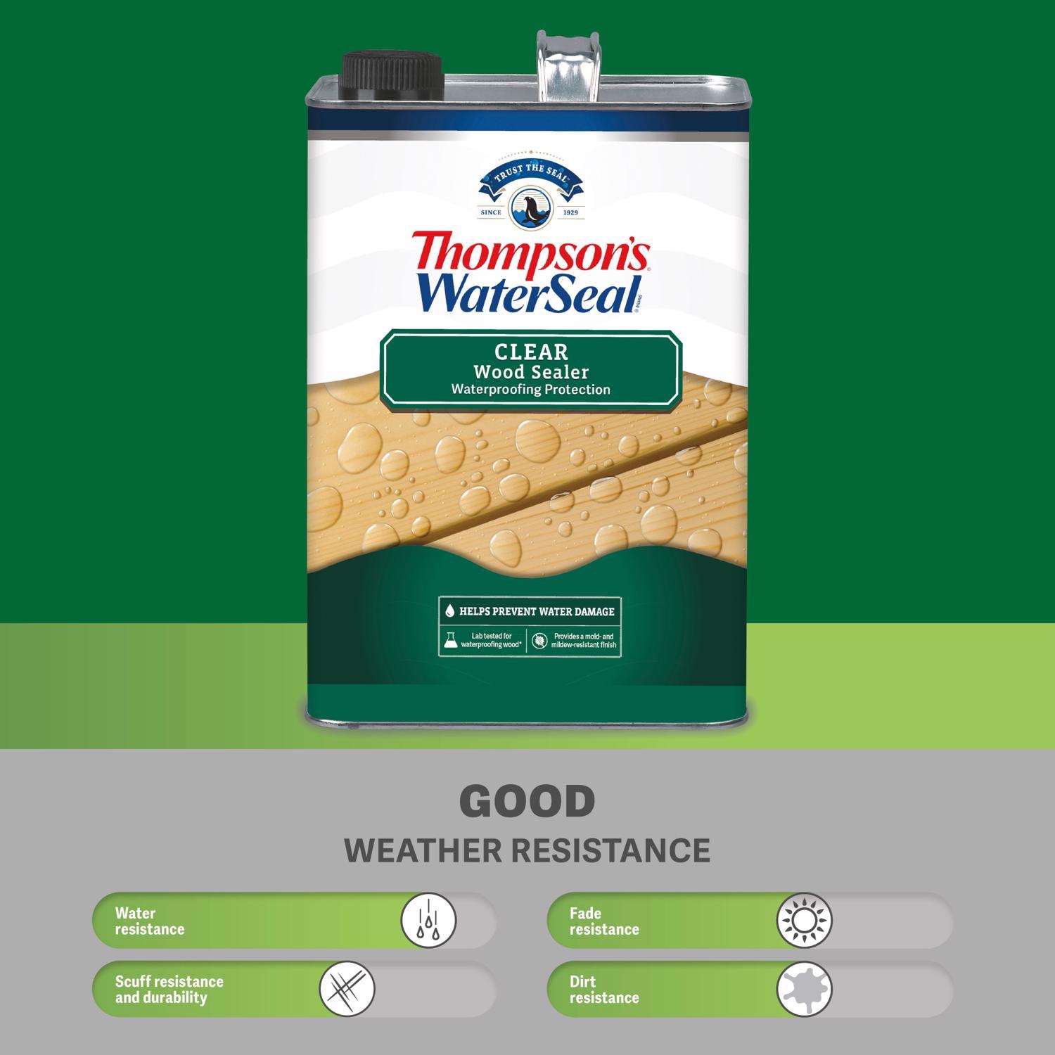 Thompson's WaterSeal Clear Wood Sealer Clear Fully-Transparent Oil-Based Wood Sealant 6 gal
