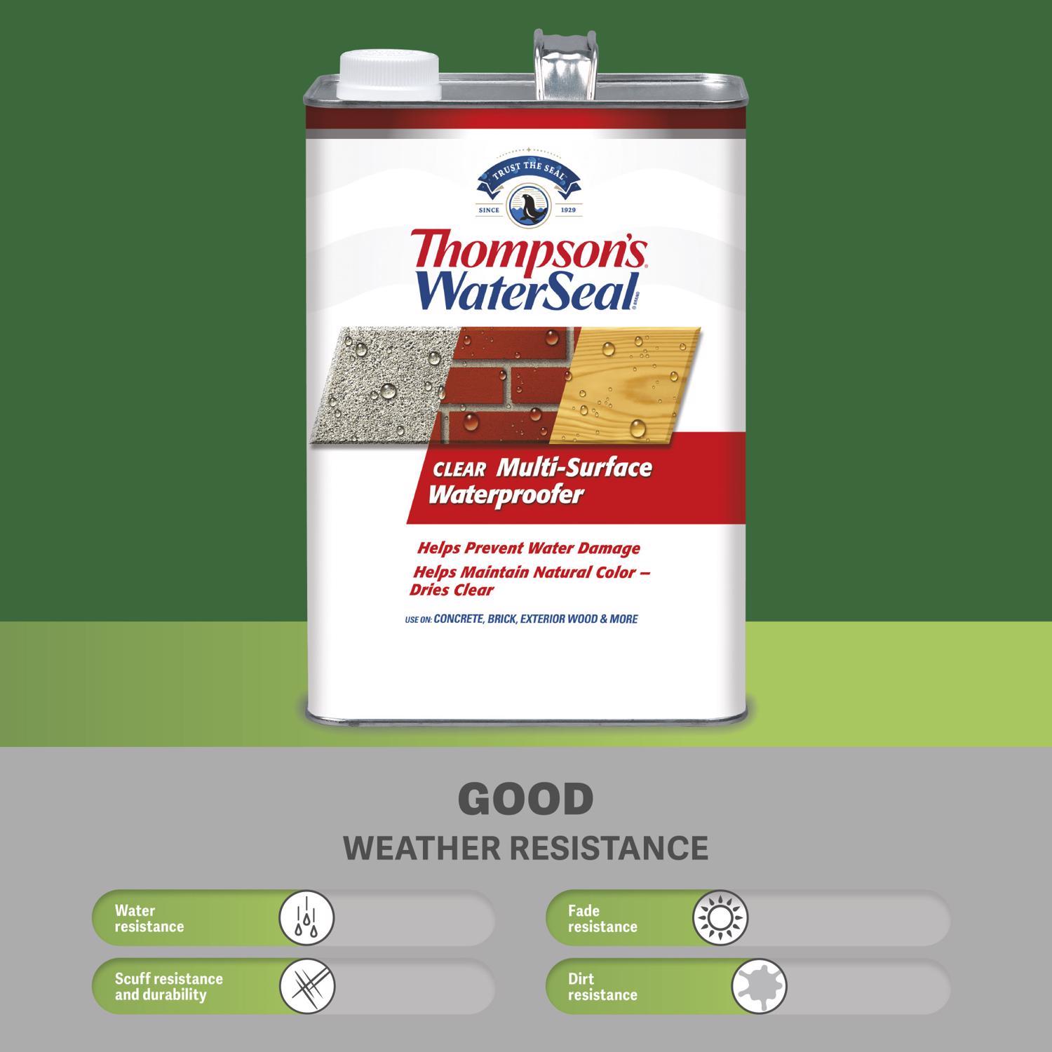 Thompson's WaterSeal Clear Fully-Transparent Water-Based Multi-Surface Waterproofer 1 qt