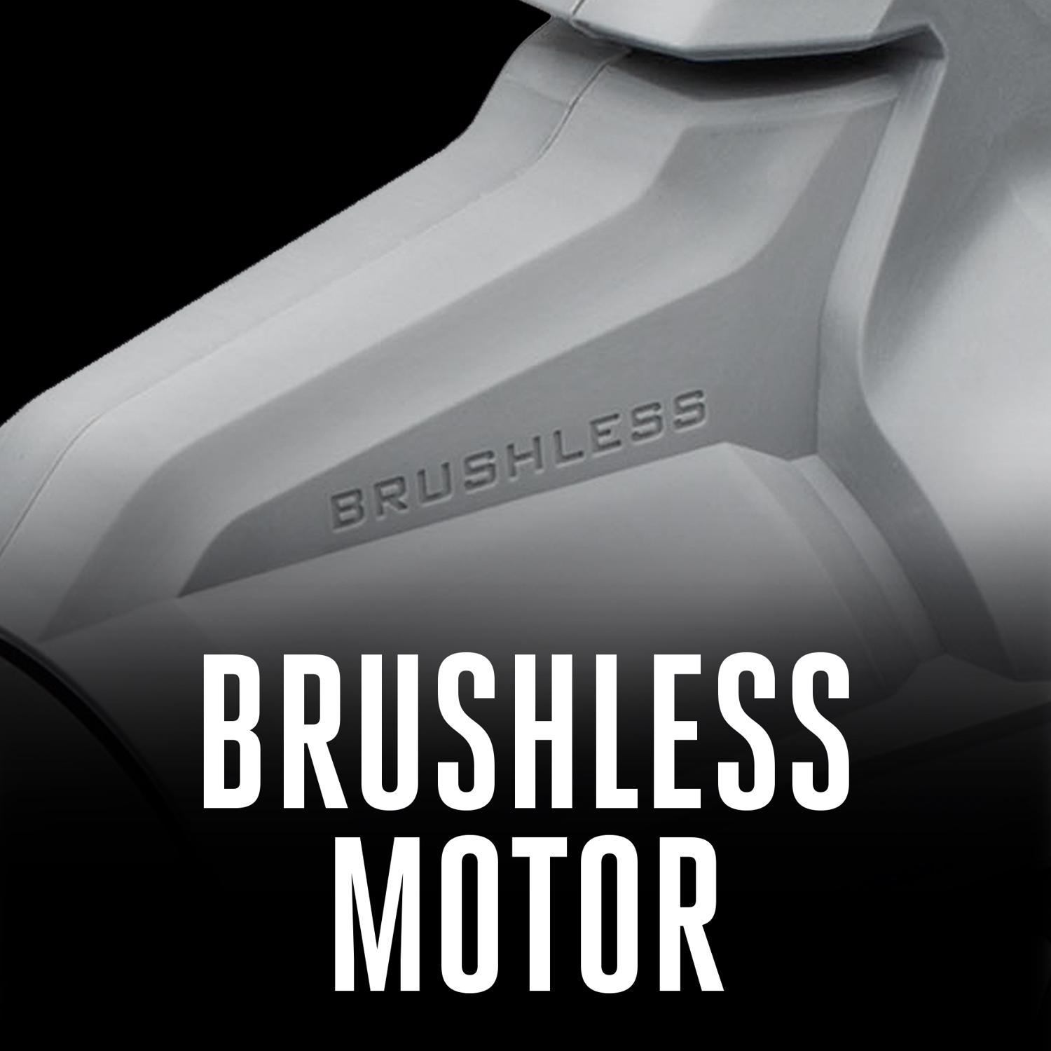 Ego Power+ LB6151 170 Mph 615 Cfm 56 V Battery Handheld Leaf Blower Kit (Battery & Charger) with 2.5 Ah Battery