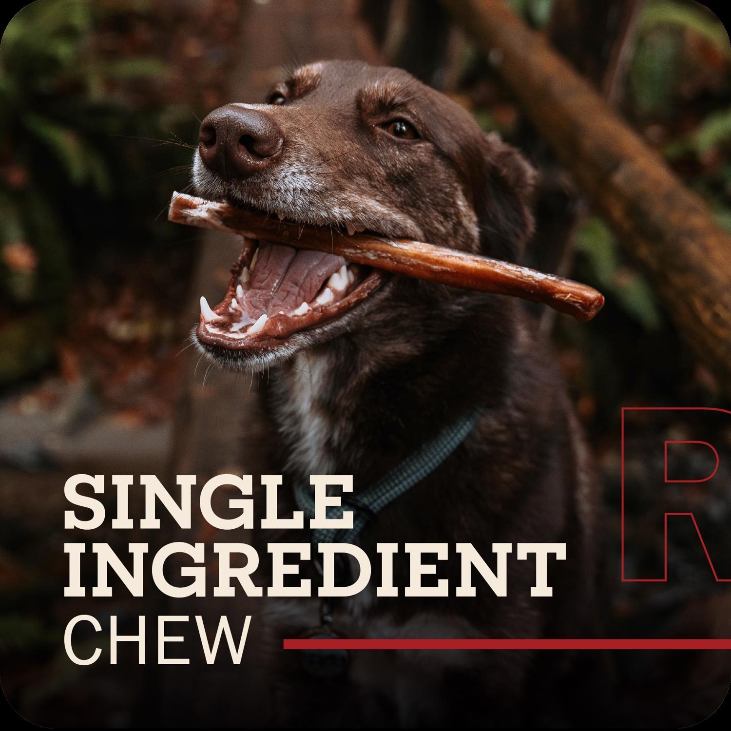 Redbarn Beef Grain Free Bully Stick For Dogs 3.2 oz 7 in. 3 pk