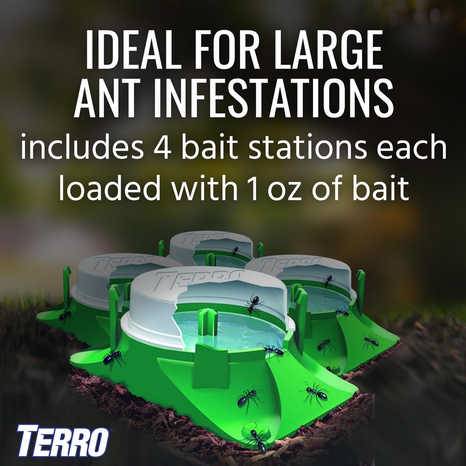 TERRO Ant Bait 4 pk