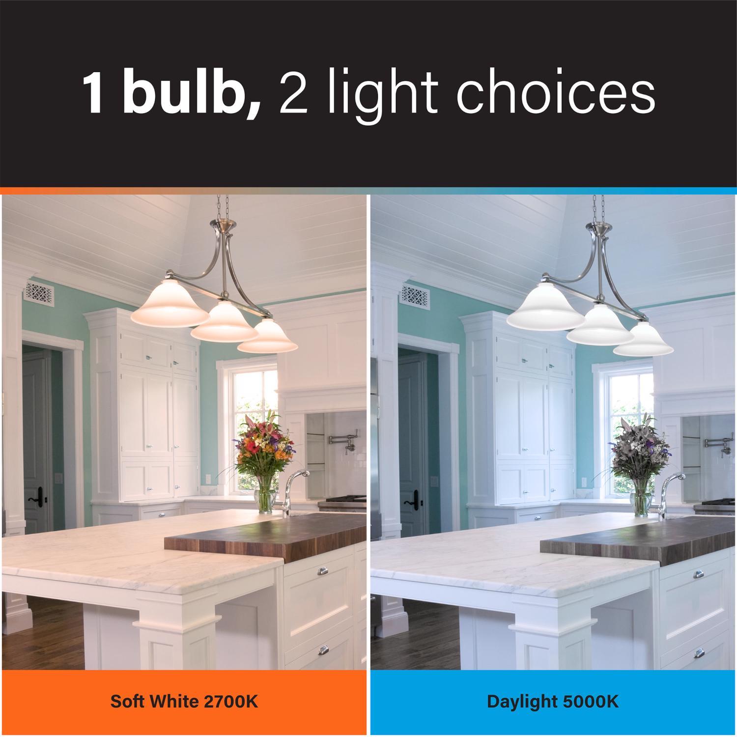 Feit BR30 E26 (Medium) LED Bulb Color Changing 65 Watt Equivalence 1 pk