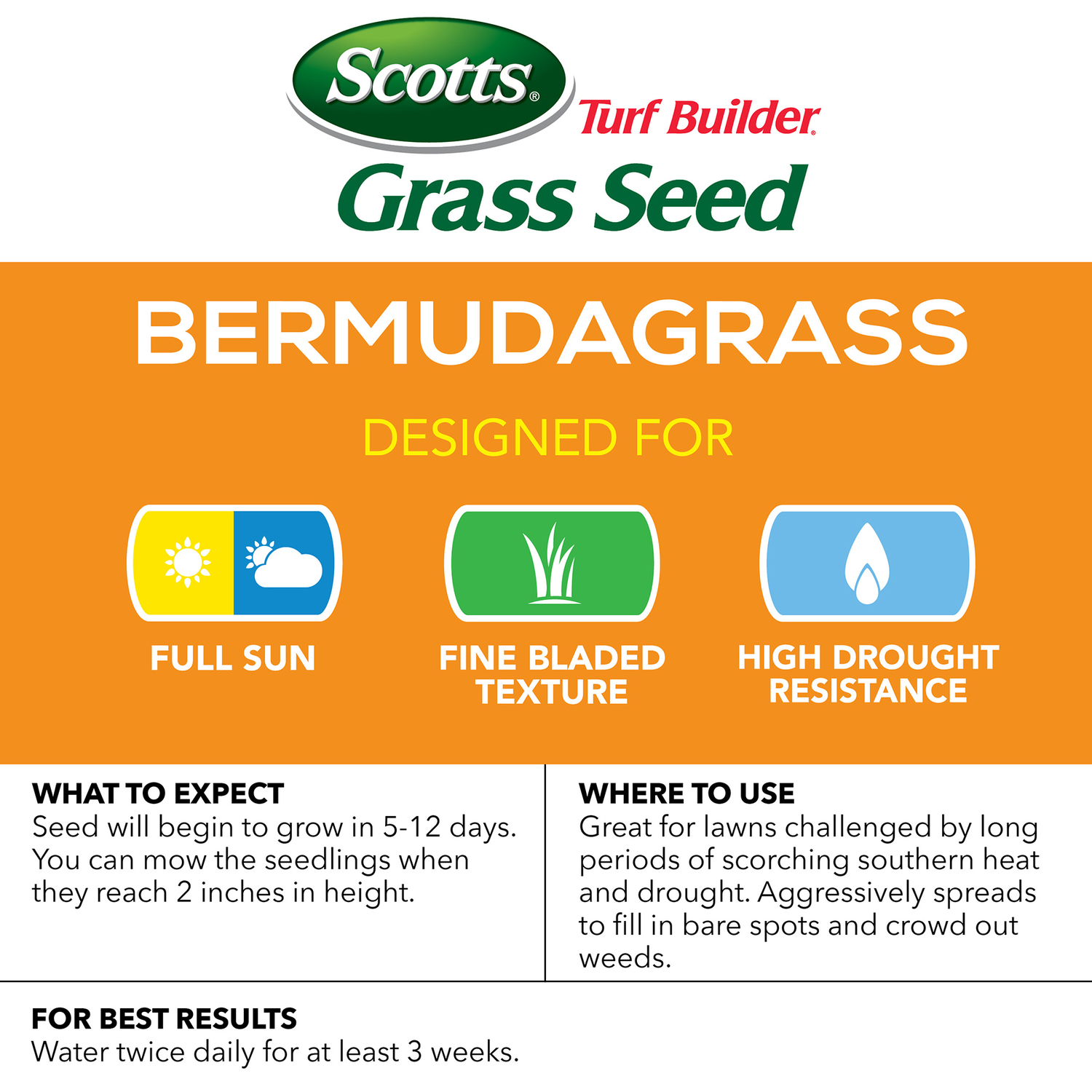 Scotts Turf Builder Bermuda Grass Full Sun Grass Seed 1 lb