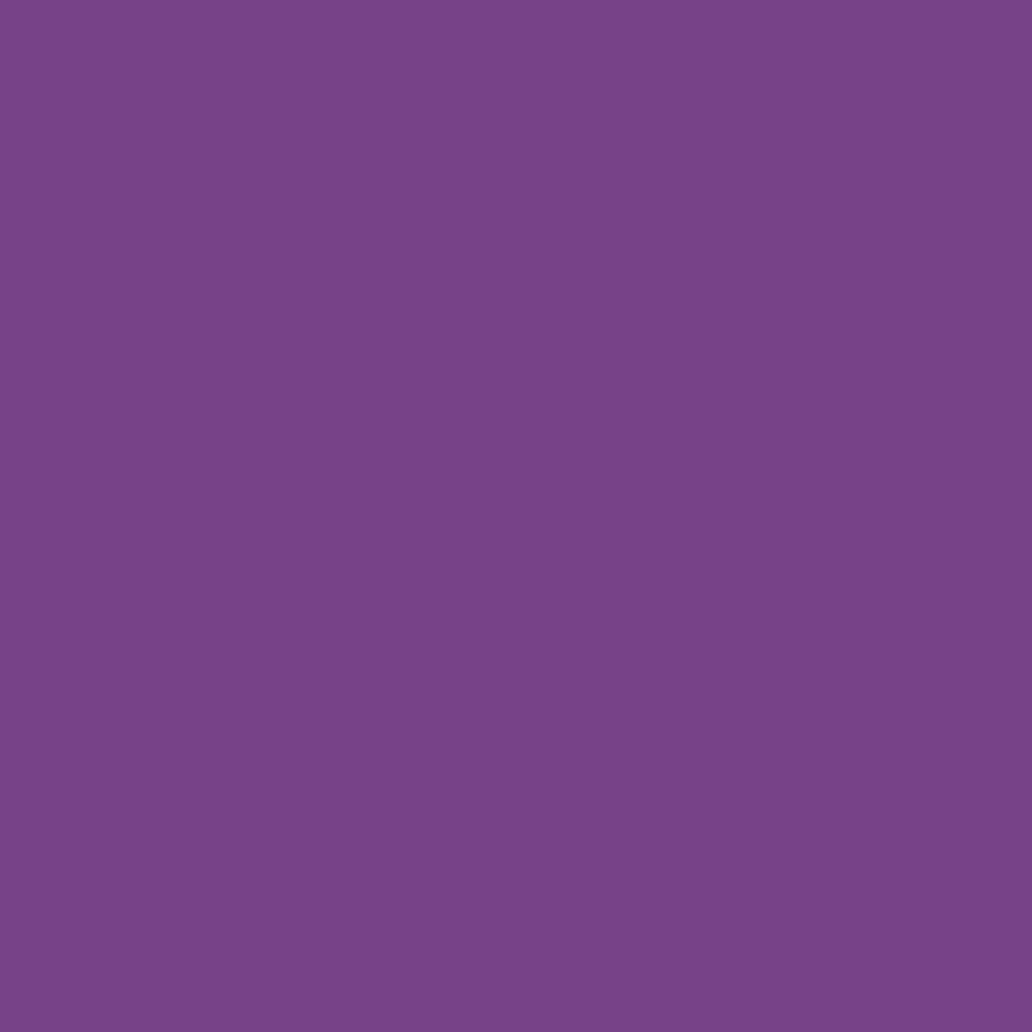 Adams Kids Adirondack Bright Violet Polypropylene Frame Adirondack Chair