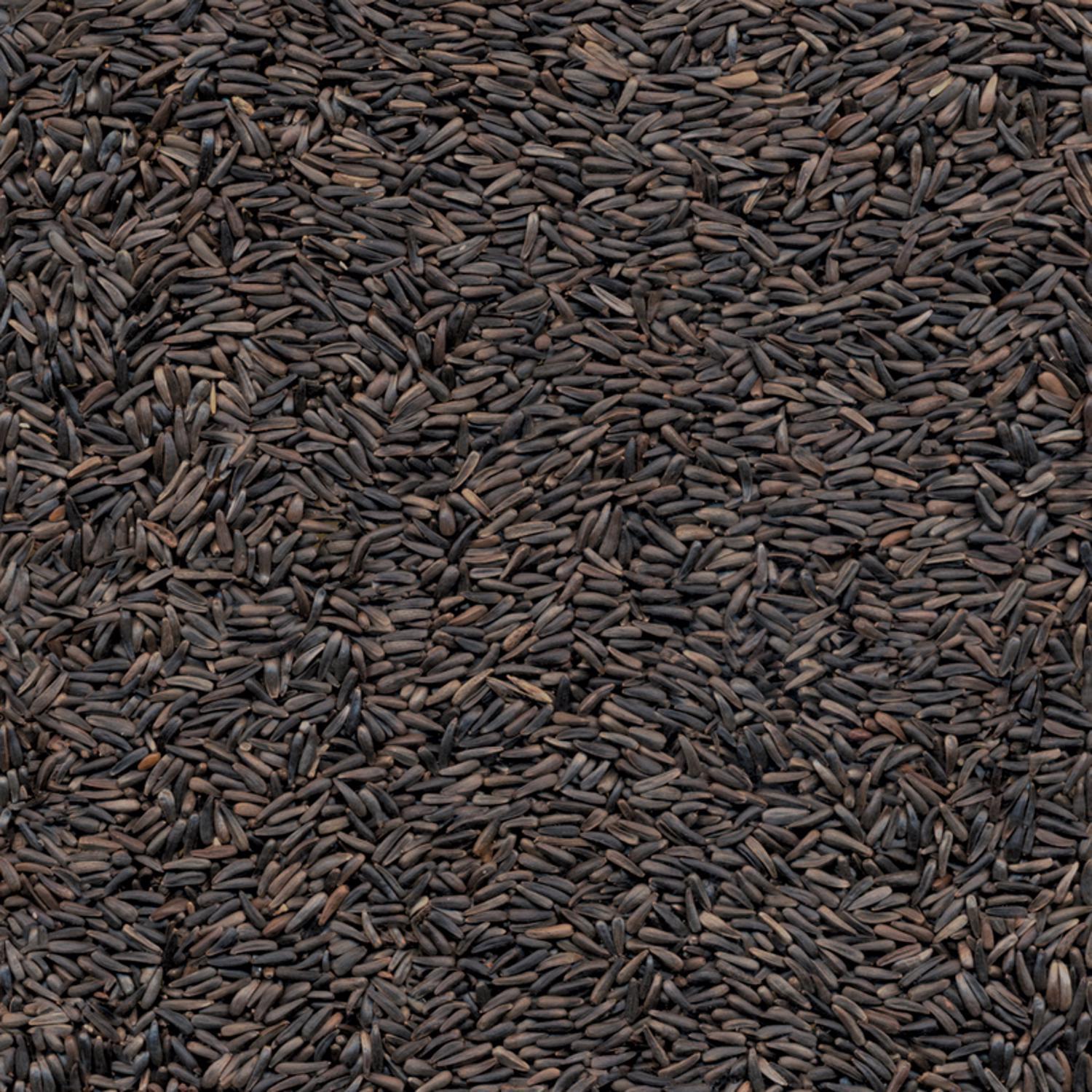 Kaytee Nyjer Wild Bird Food 8 lb