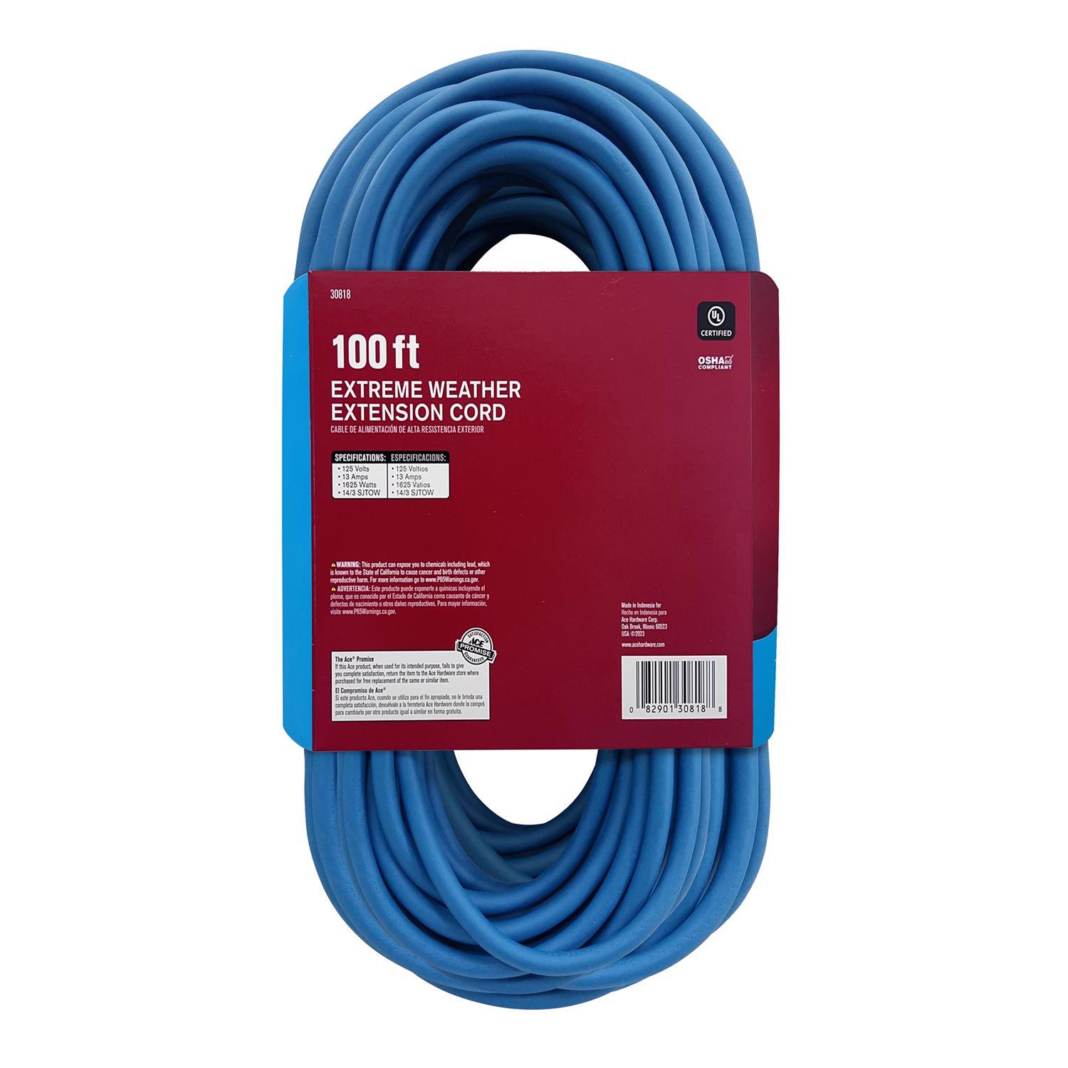 Ace Outdoor 100 ft. L Blue Extension Cord 14/3 SJOW