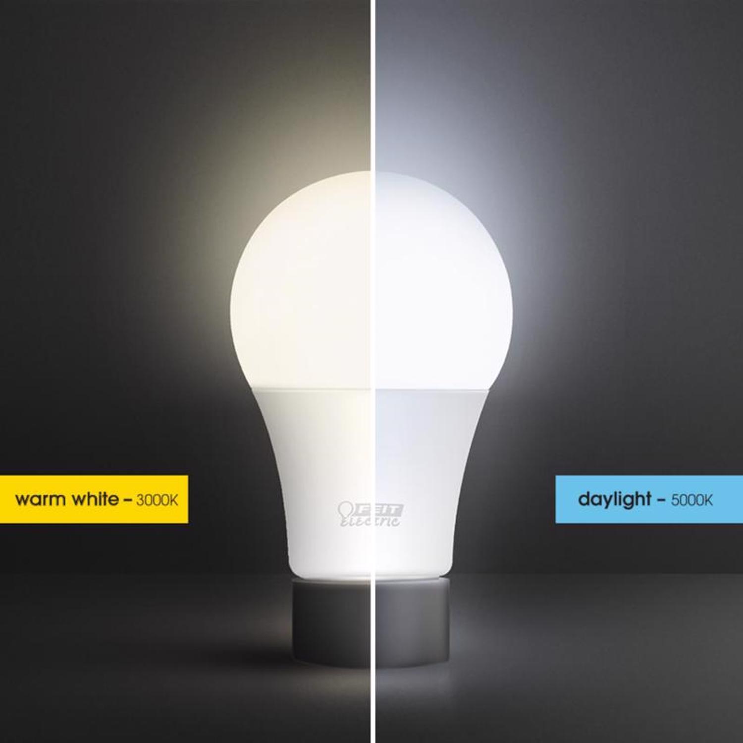 Feit A19 E26 (Medium) LED Bulb Soft White 60 Watt Equivalence 10 pk