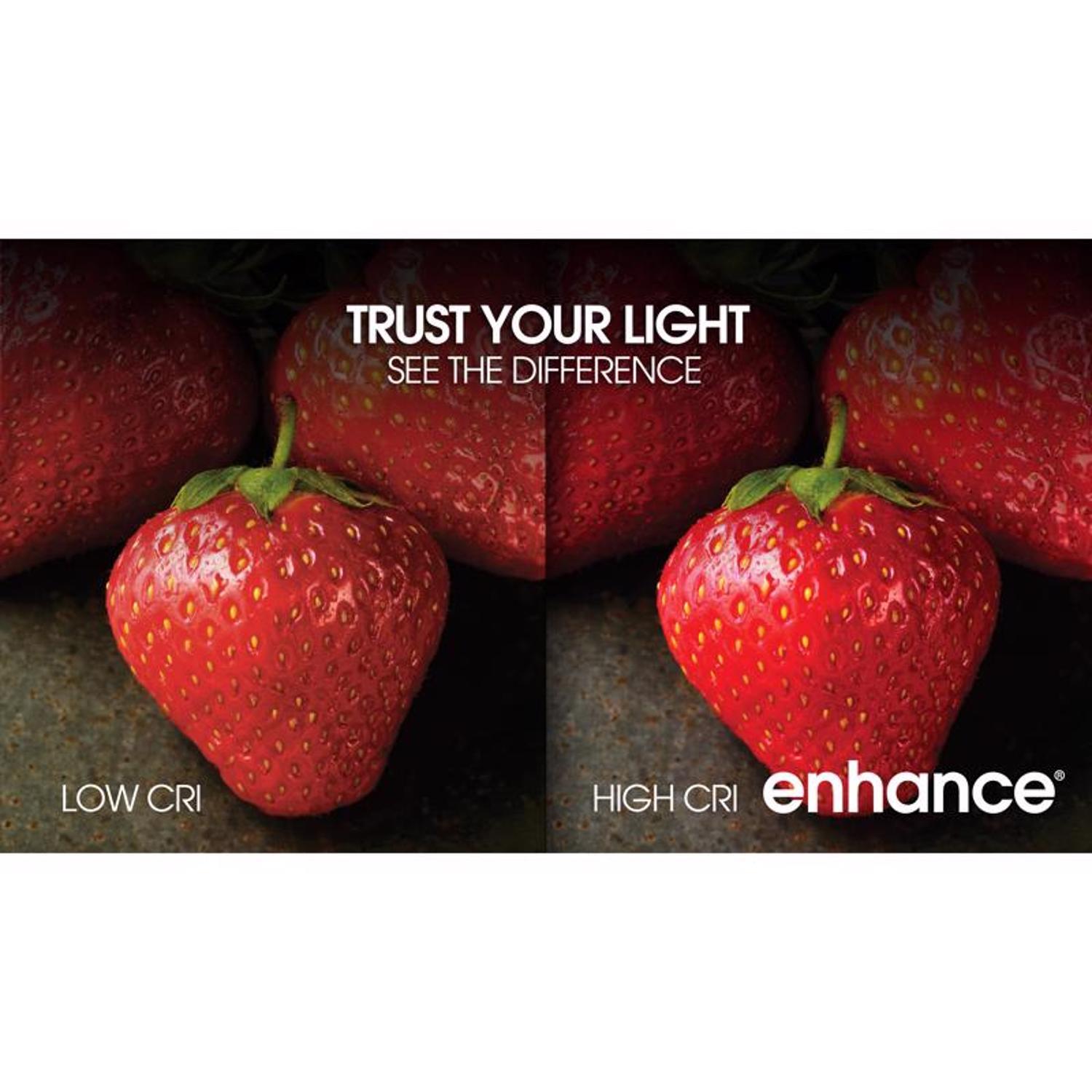 Feit Enhance A19 E26 (Medium) Filament LED Bulb Daylight 75 Watt Equivalence 2 pk