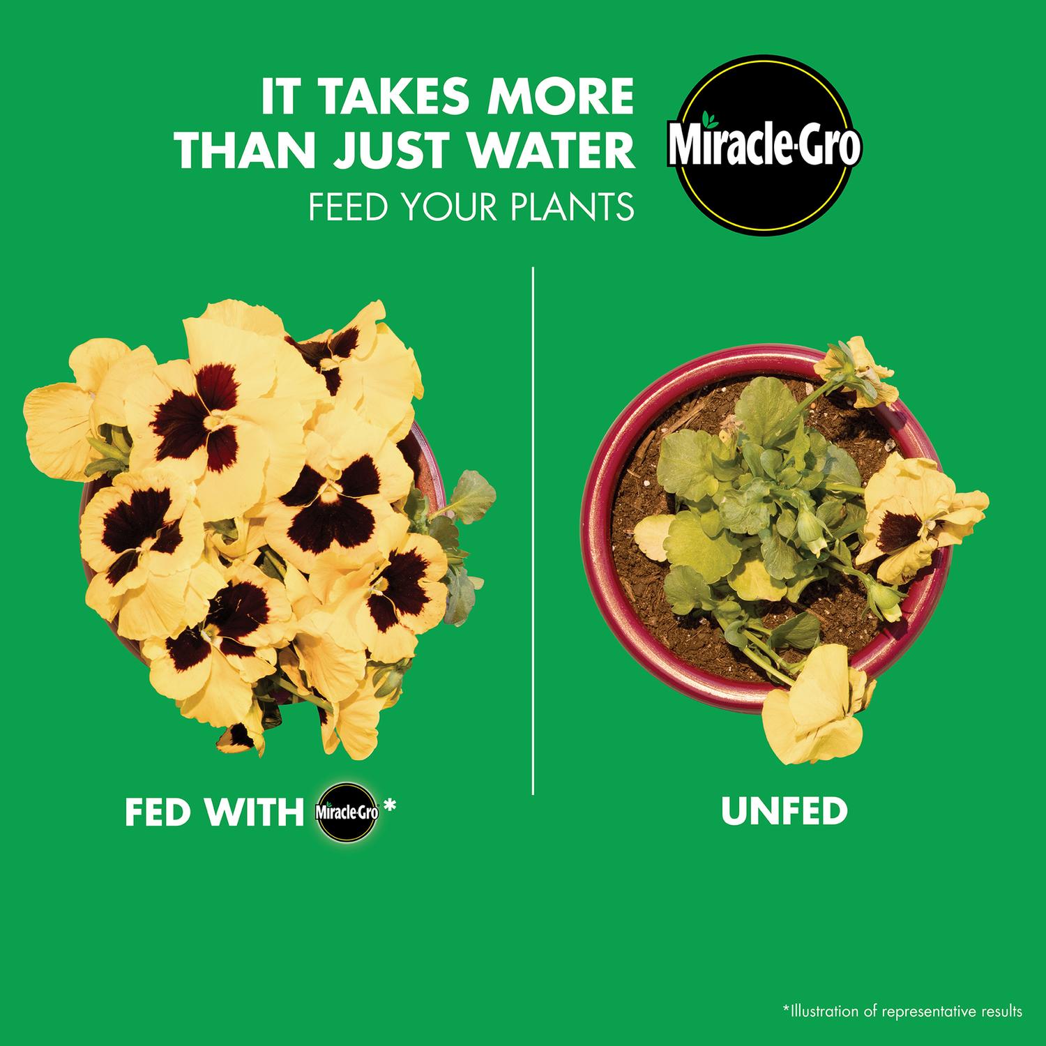 Miracle-Gro LiquaFeed Liquid Sprayer Starter Kit 16 oz