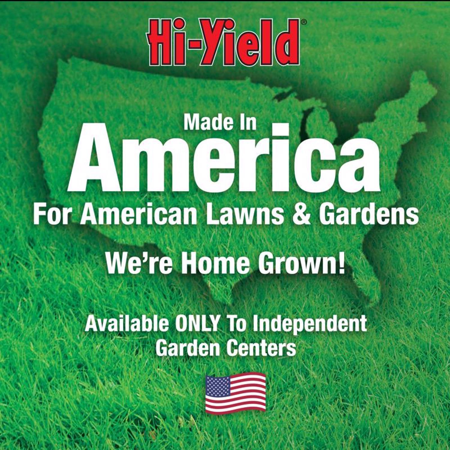 Hi-Yield 38 Plus Turf Termite and Ornamental Insect Killer Liquid Concentrate 32 oz