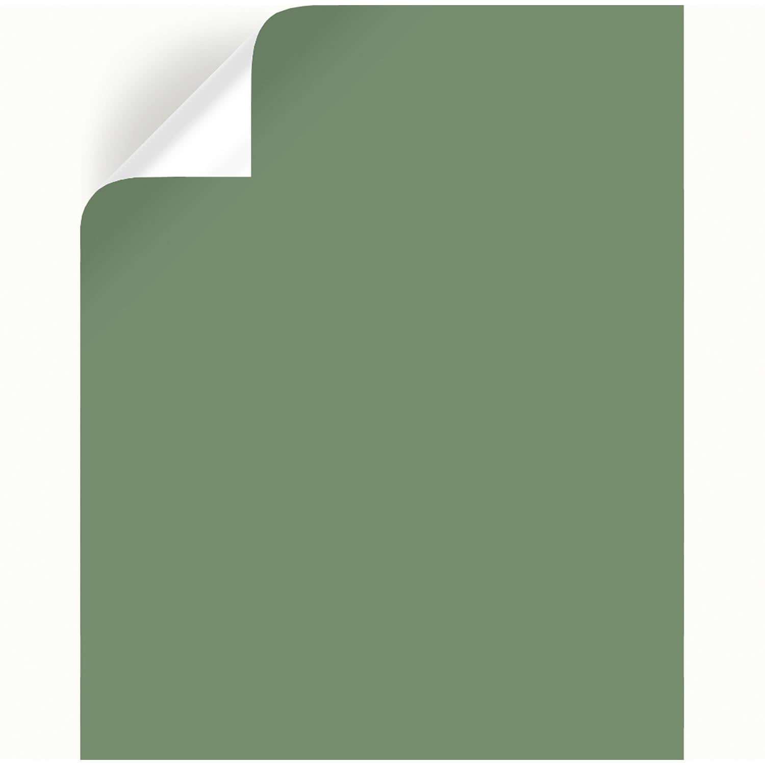 Magnolia Home by Joanna Gaines Magnolia Green Peel & Stick Color Sample