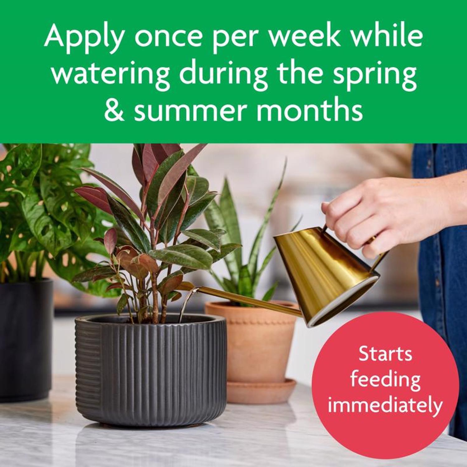 Miracle-Gro Tropical Liquid Plant Food 8 oz