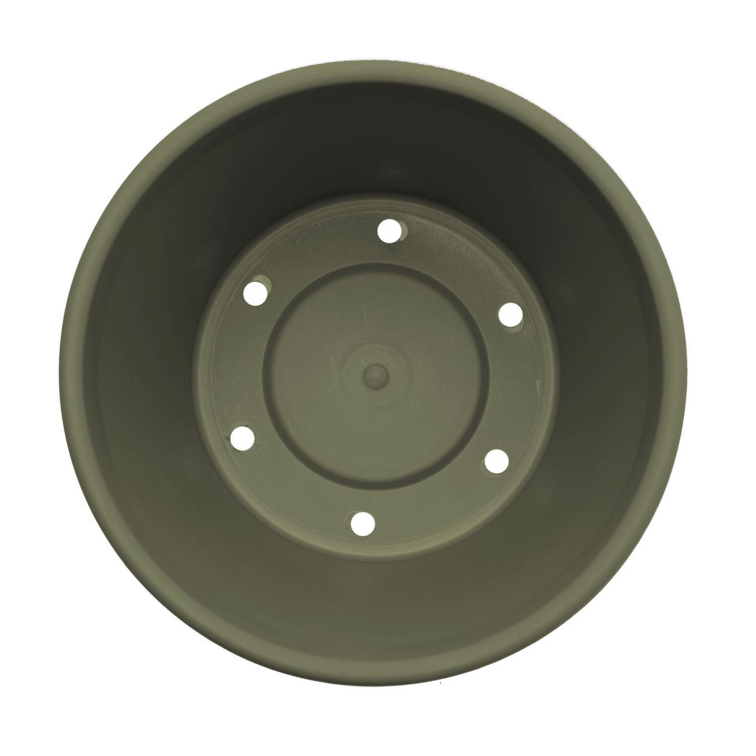 Bloem Terra 10.75 in. H X 13 in. W Resin Traditional Planter Living Green