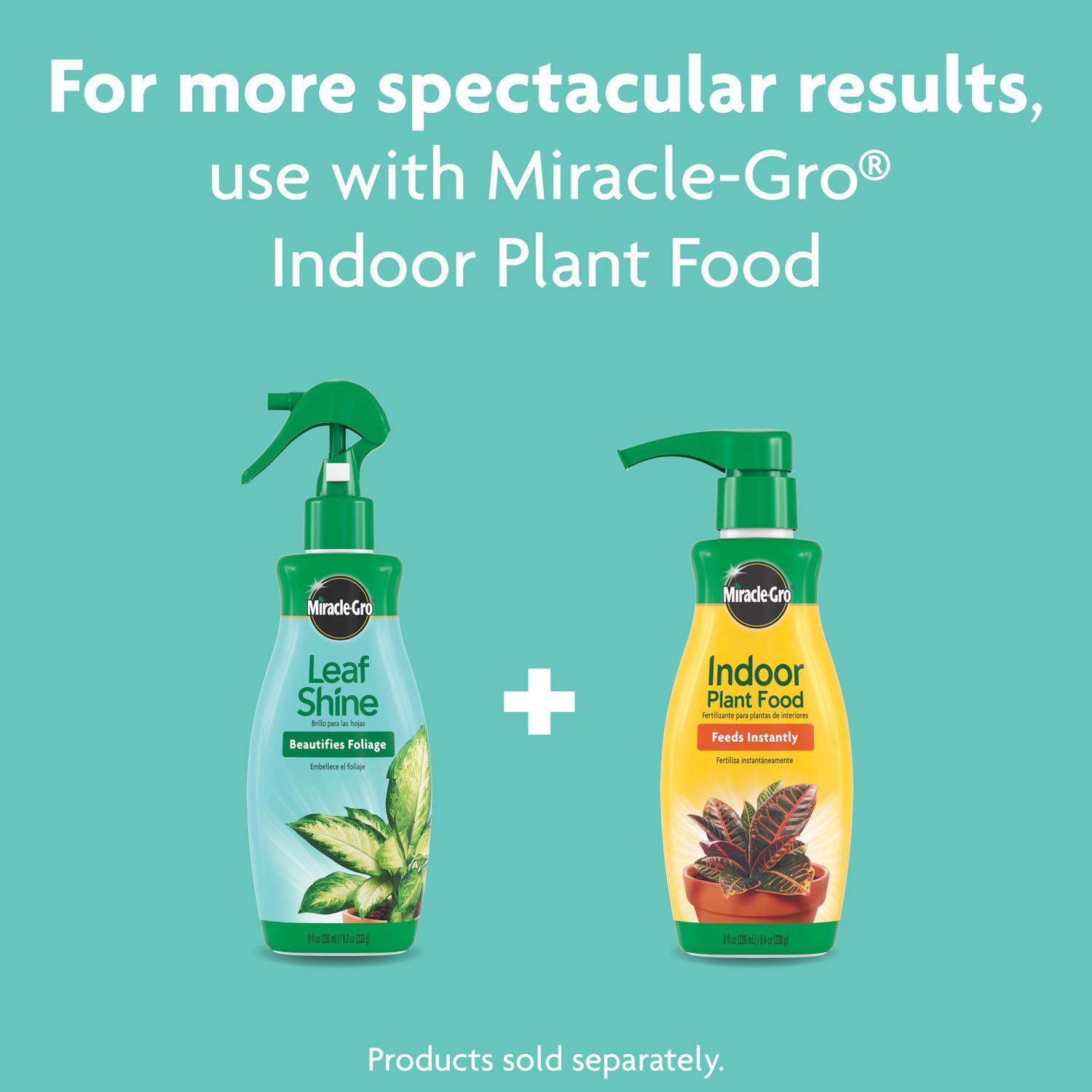 Miracle-Gro Liquid Plant Shine 8 oz