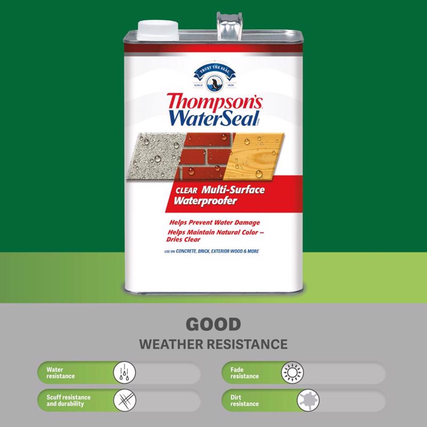Thompson's WaterSeal Flat Clear Fully-Transparent Multi-Surface Waterproofer 1.2 gal