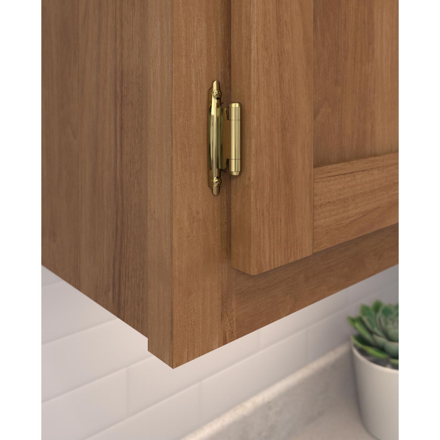 Amerock 1-13/16 in. W X 2-3/4 in. L Polished Brass Steel Self-Closing Hinge 2 pk