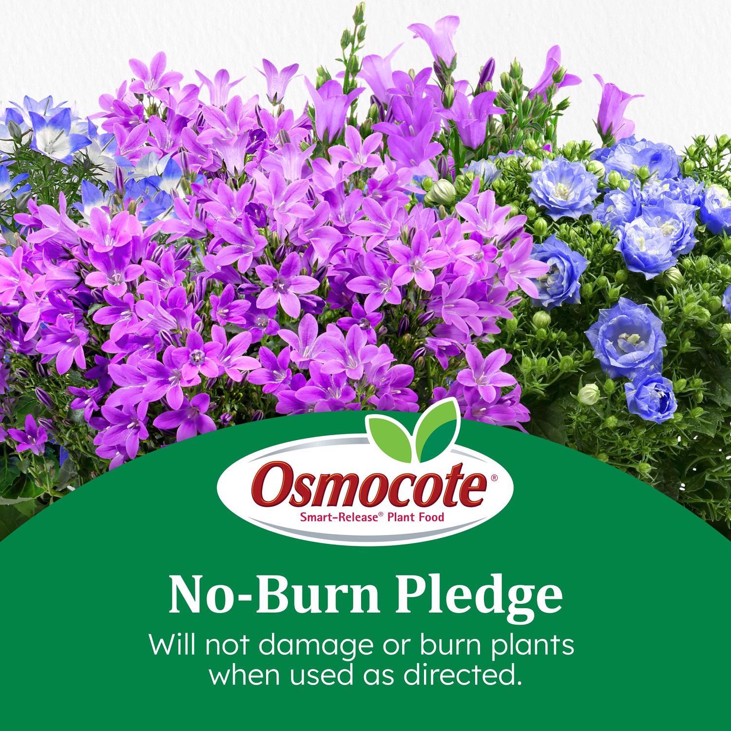 Osmocote Smart-Release Flower & Vegetable Granules Plant Food 8 lb