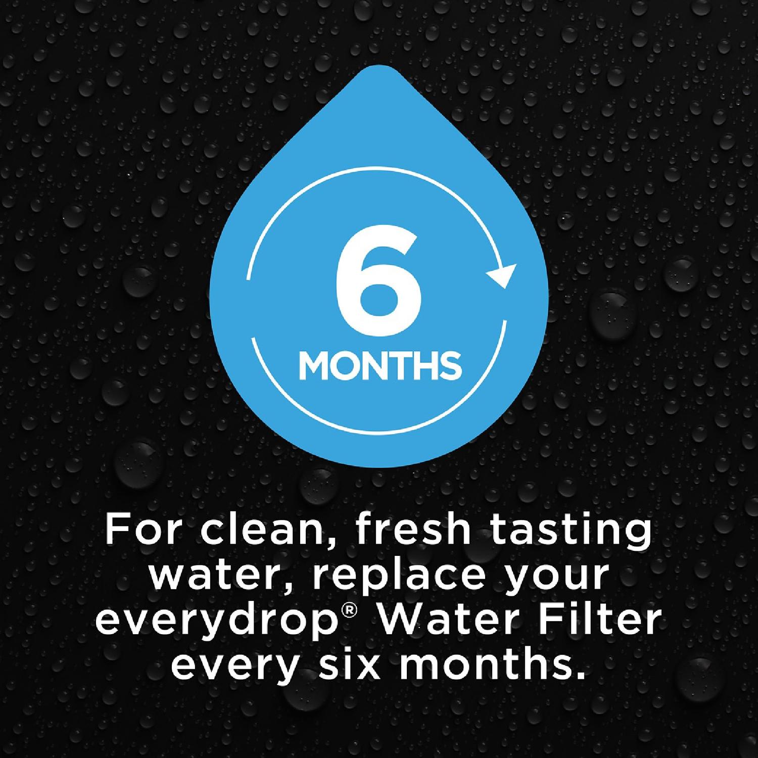 EveryDrop Refrigerator Replacement Filter EDR2RXD1
