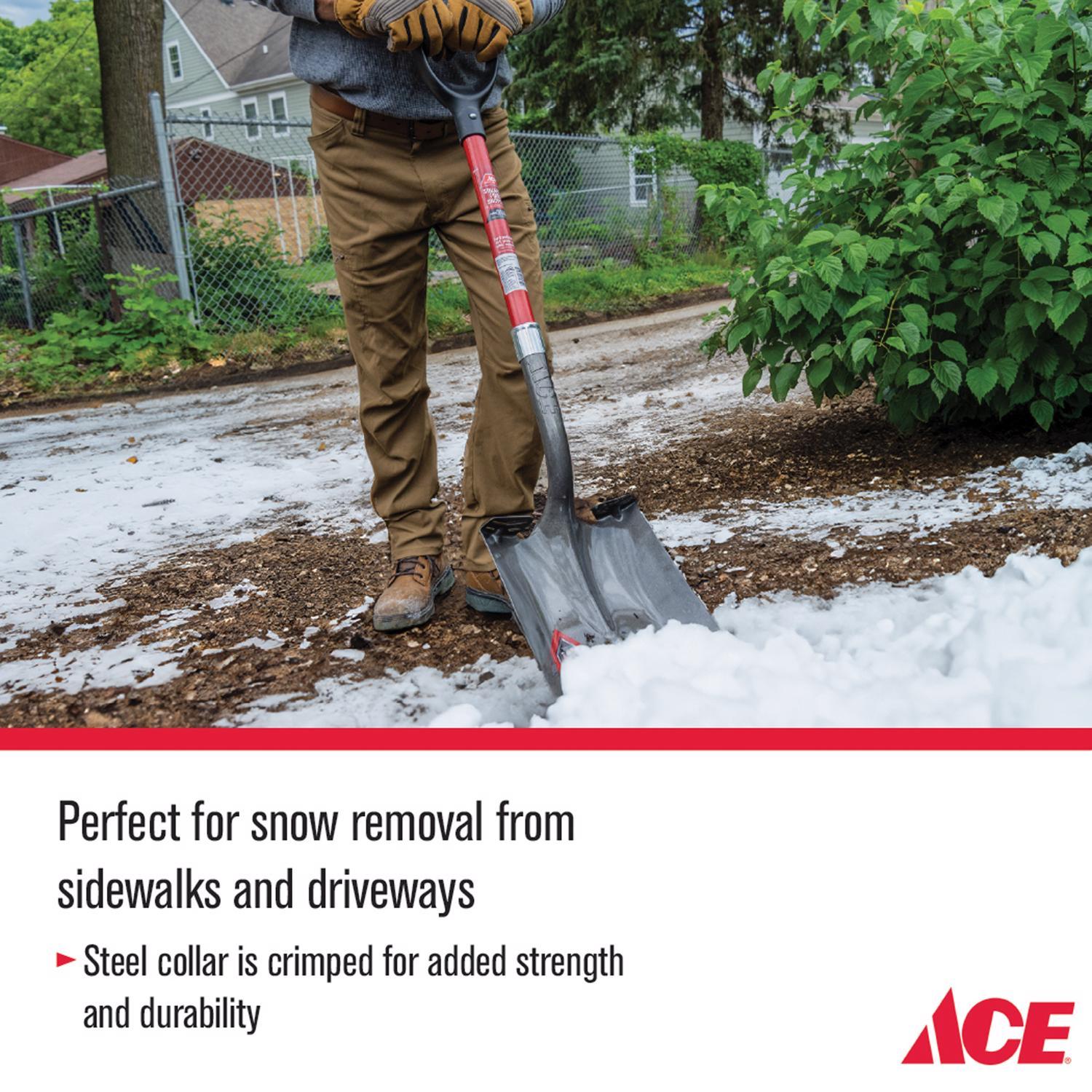 Ace 40 in. Steel Square Transfer Shovel Fiberglass Handle